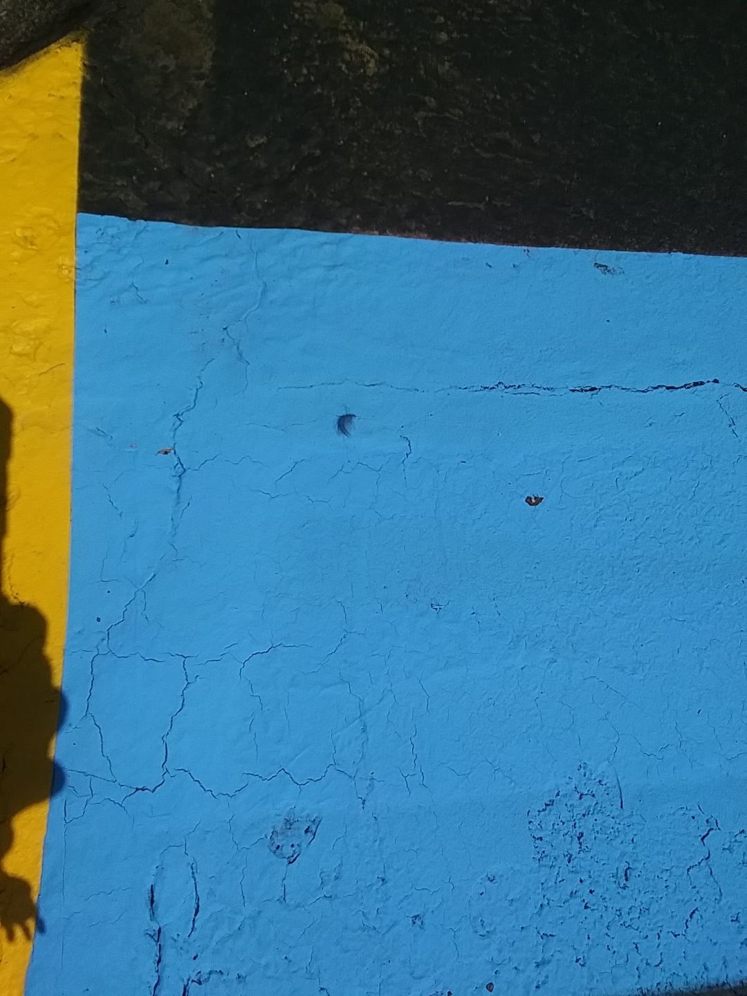 Eastside Preparatory School | Asphalt & Striping  by Jireh Asphalt & Concrete Inc 