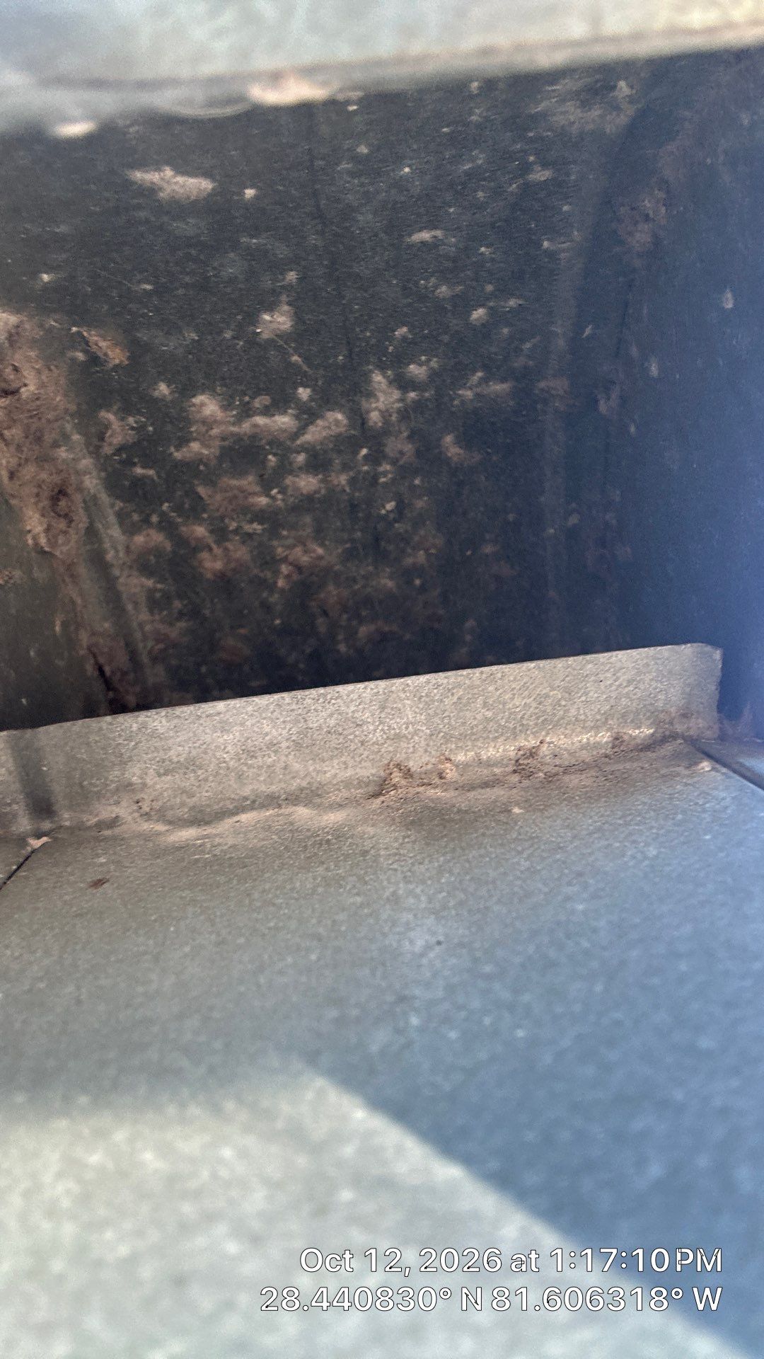 Dryer Vent Cleaning — Winter Garden by Hygienic Air, Inc