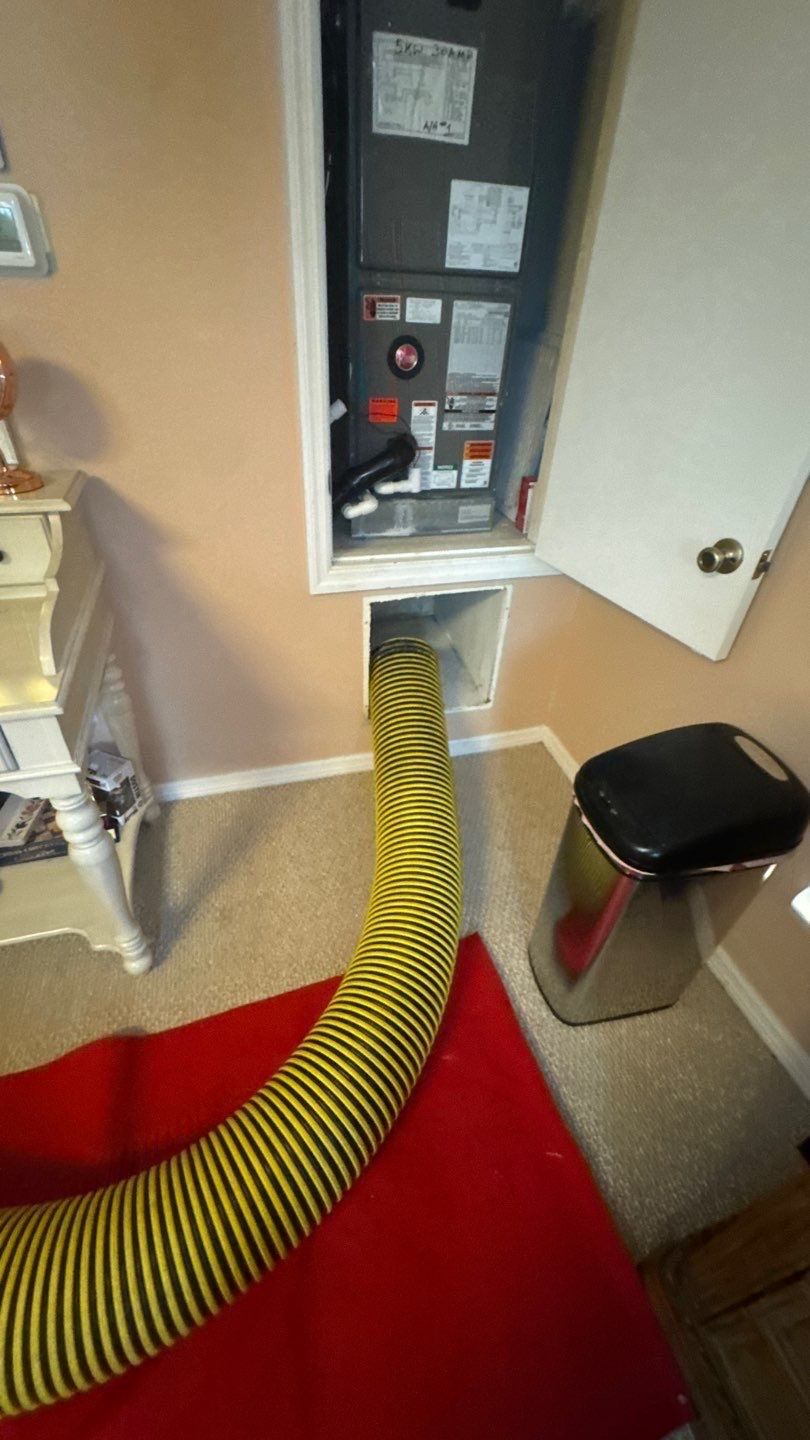 Air duct and Bathroom Exhaust Cleaning in Apopka by Hygienic Air, Inc