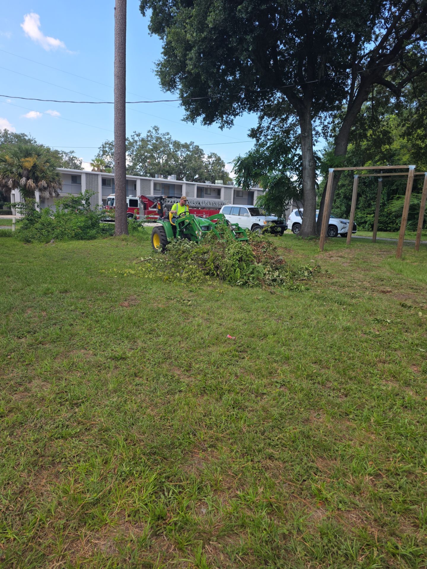 Commercial Property | Clean Up & Tree Removal by ProGreen Services