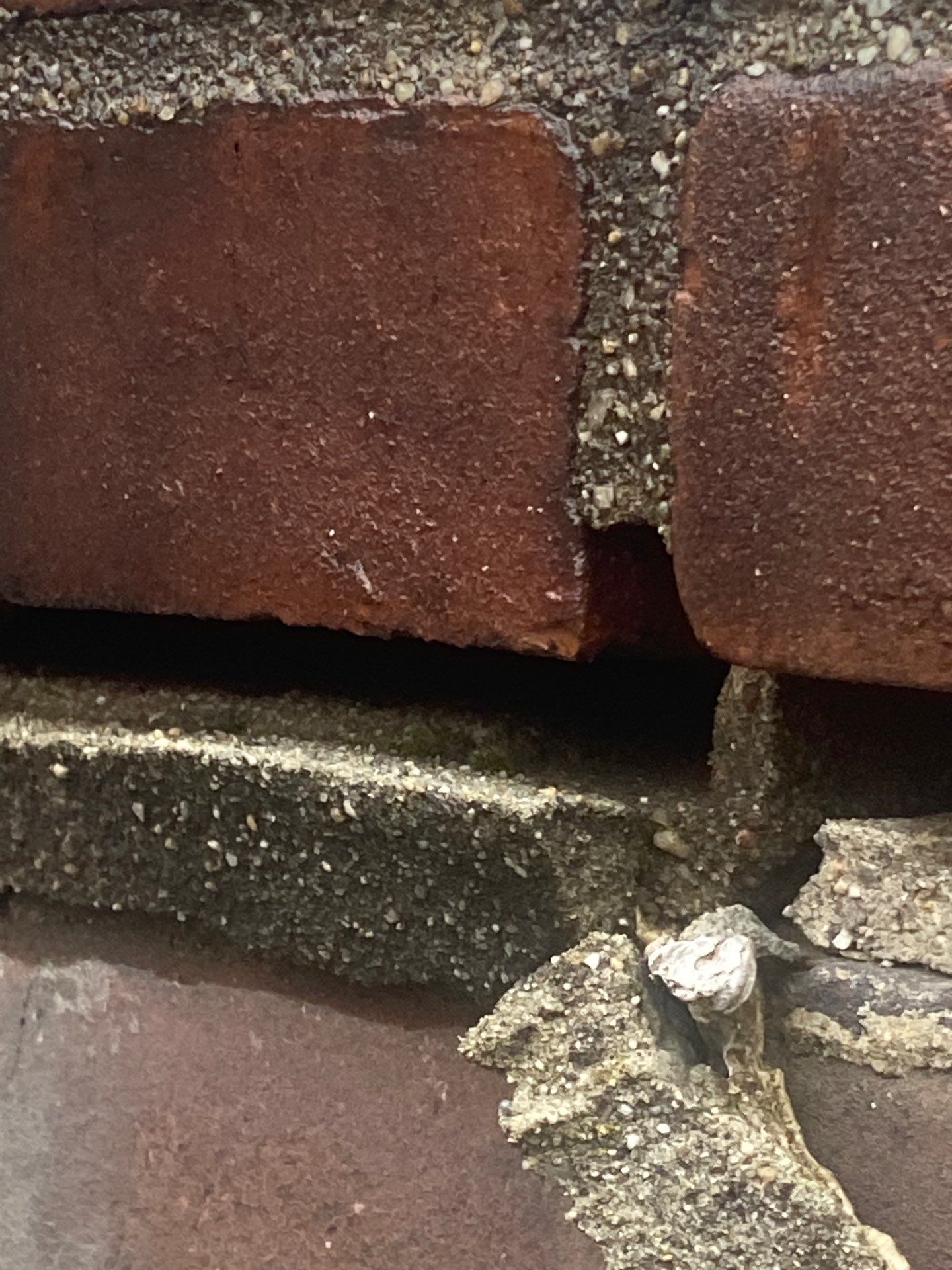 roof  by D Pacific Restoration LLC