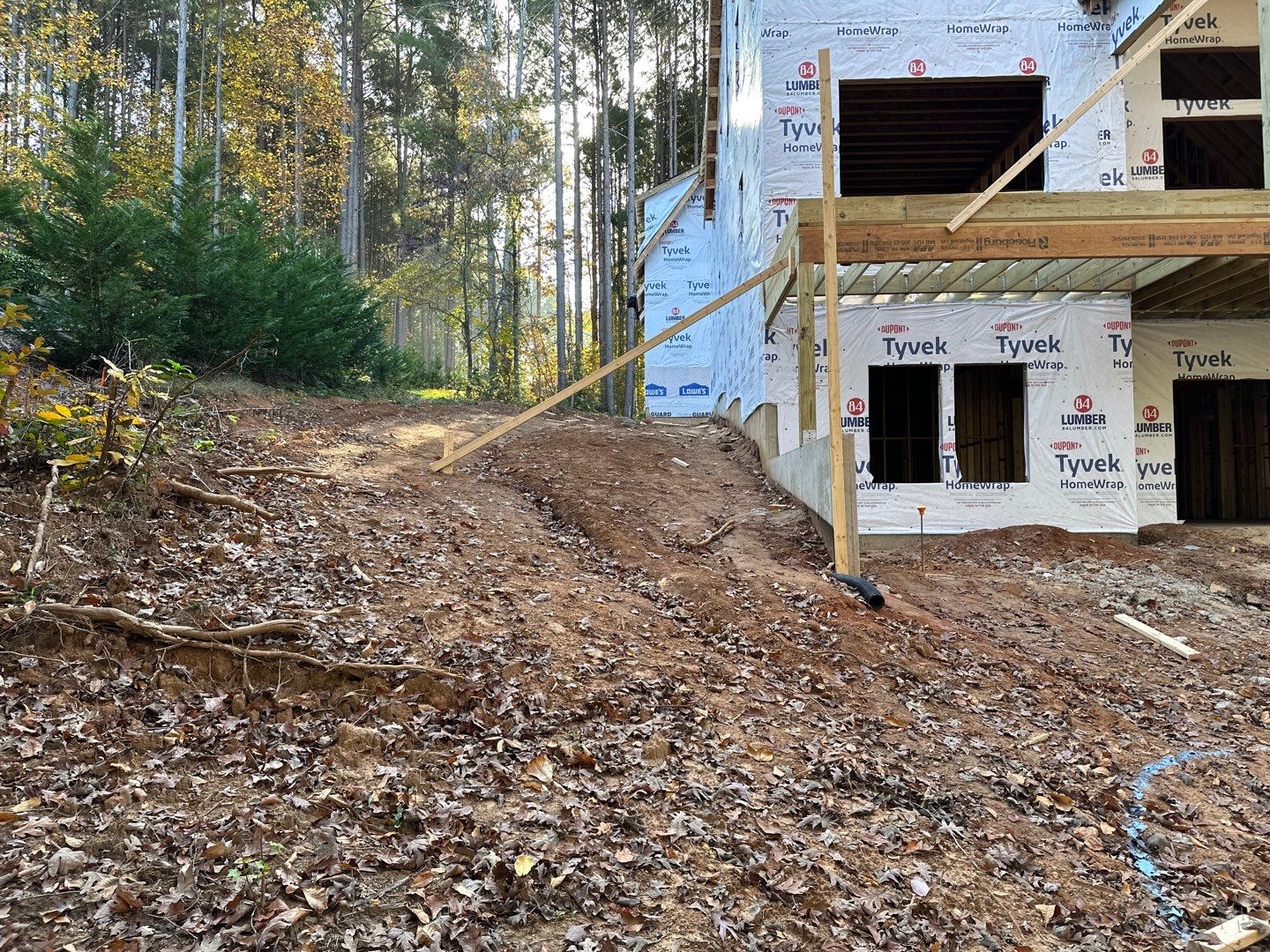 New Construction in Denver by Growing Edge Landscape & Design, Inc.