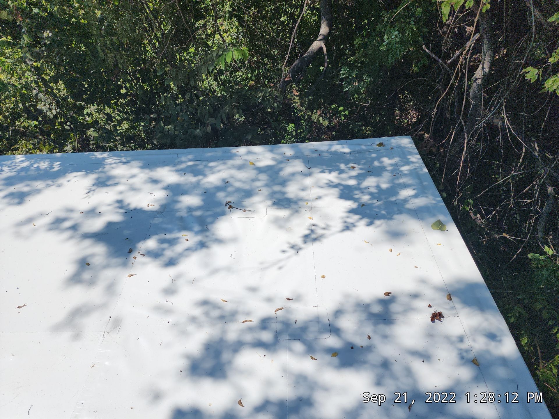 Marshall Terminix by Hostetler Roofing