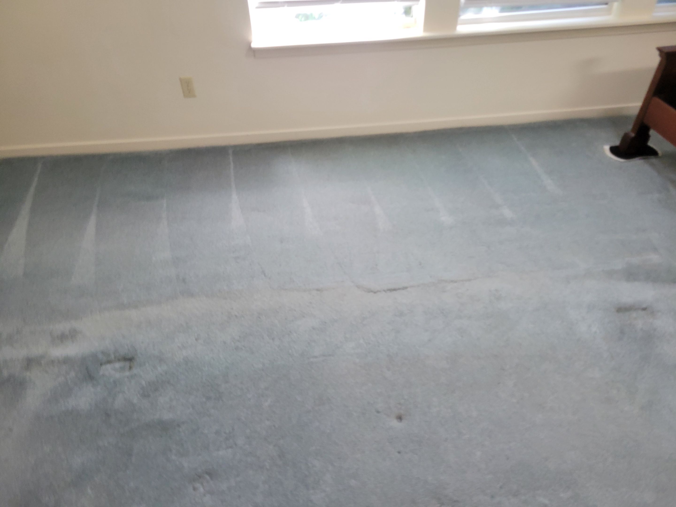 Overdue, Much Needed Carpet Clean by Ardent Carpet Restore LLC