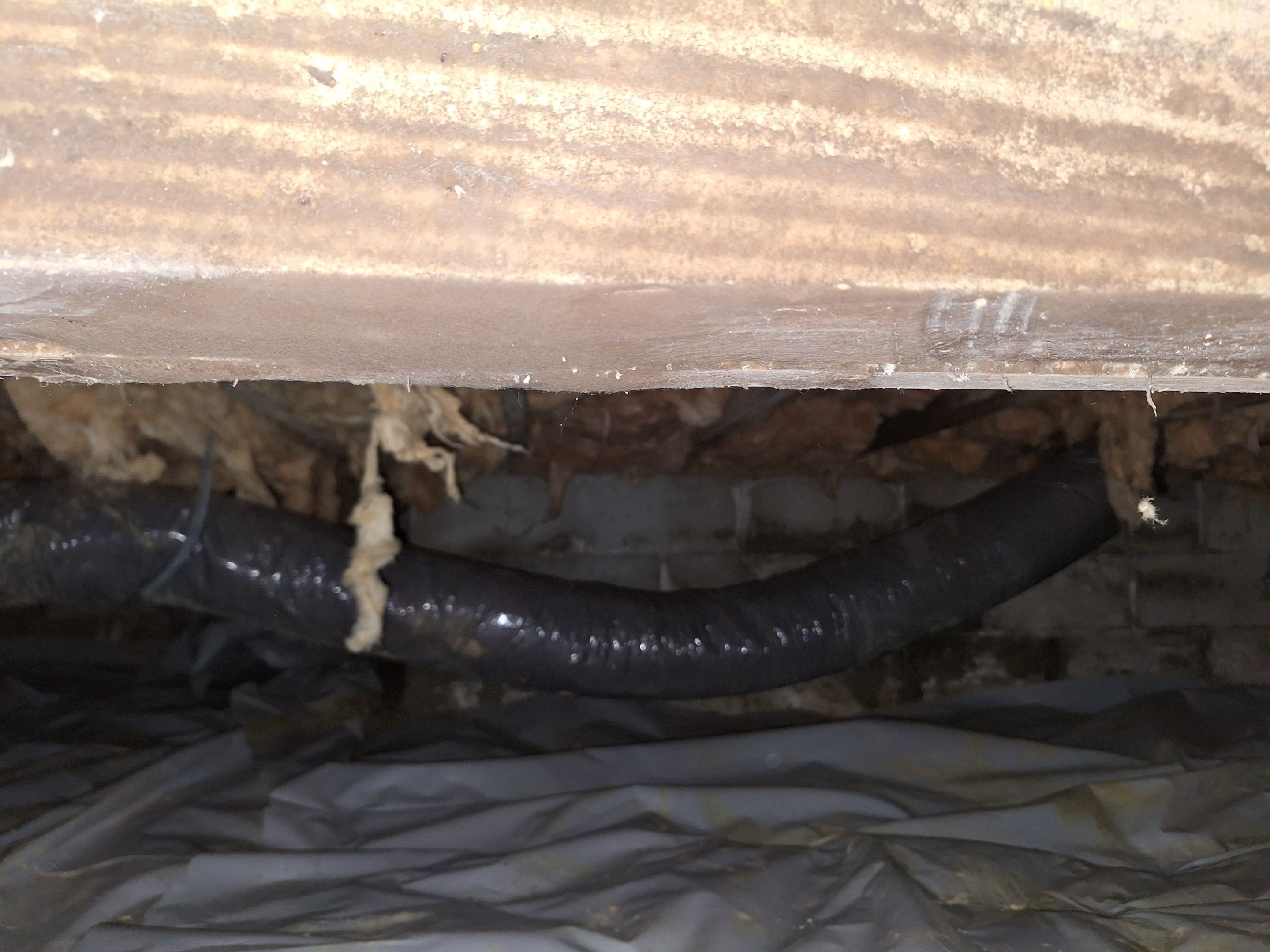 Crawlspace Mold Remediation in Austin, IN by ANR Restoration