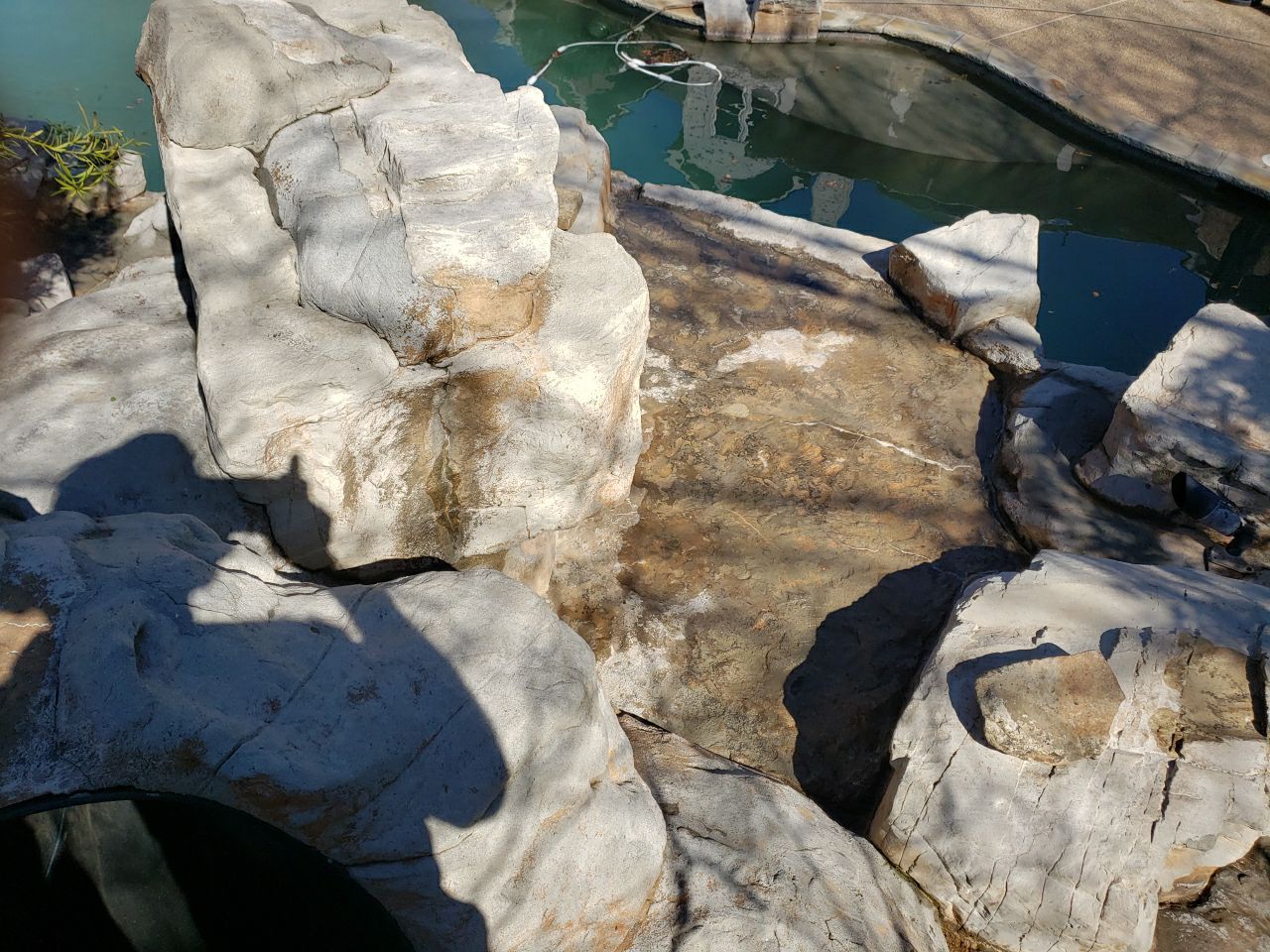 Landscap drain and flat serface cleaning by Power Wash Masters LLC
