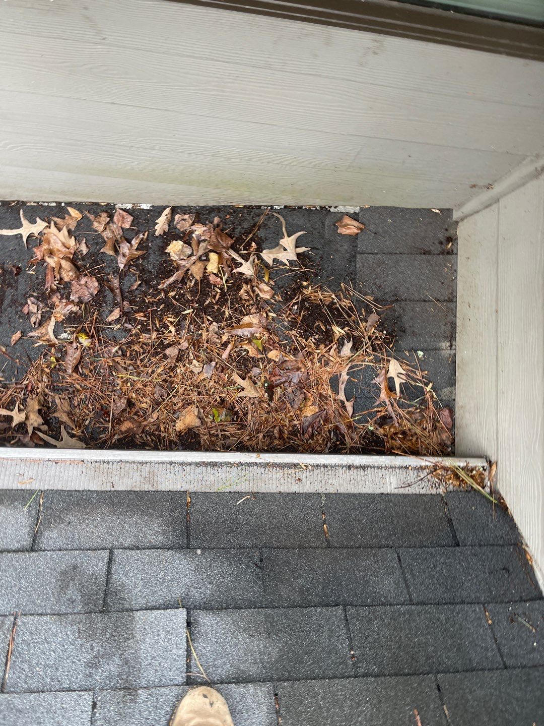 Repair with Precision by Georgia Roof Advisors