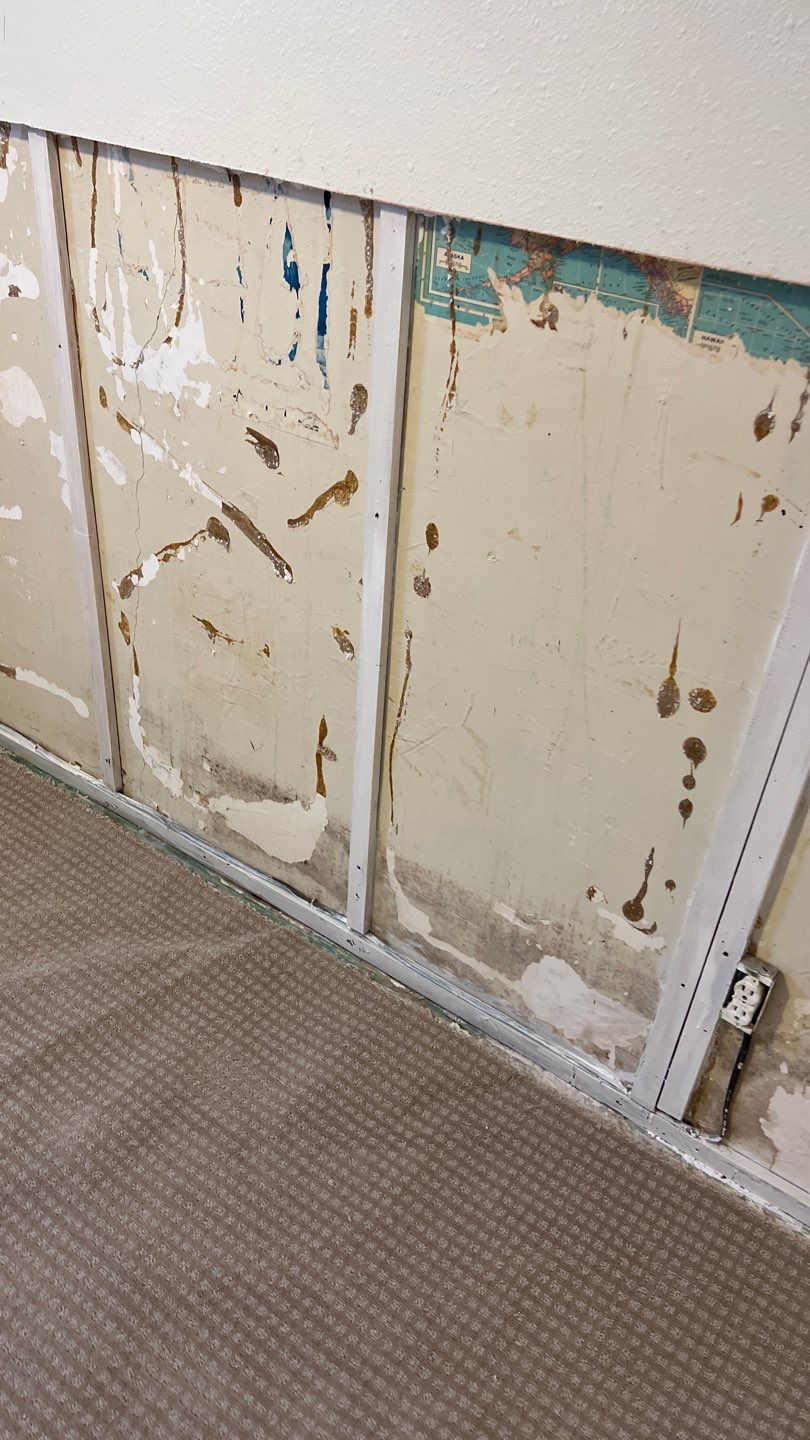 Mold Remediation by Accountable Home Services