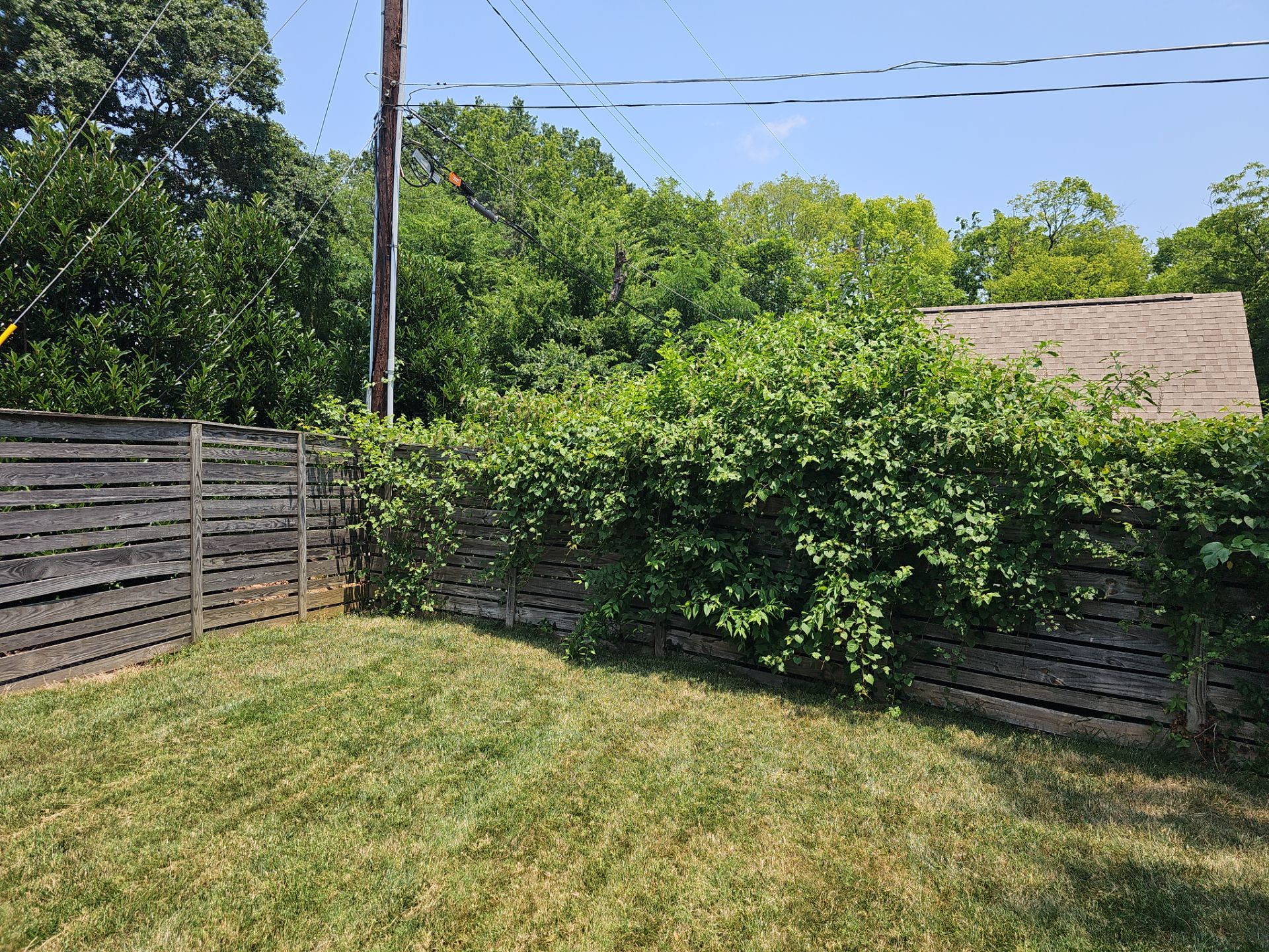 LeBlanc Clean Up Project  by Carolina-Metro Landscape, Inc