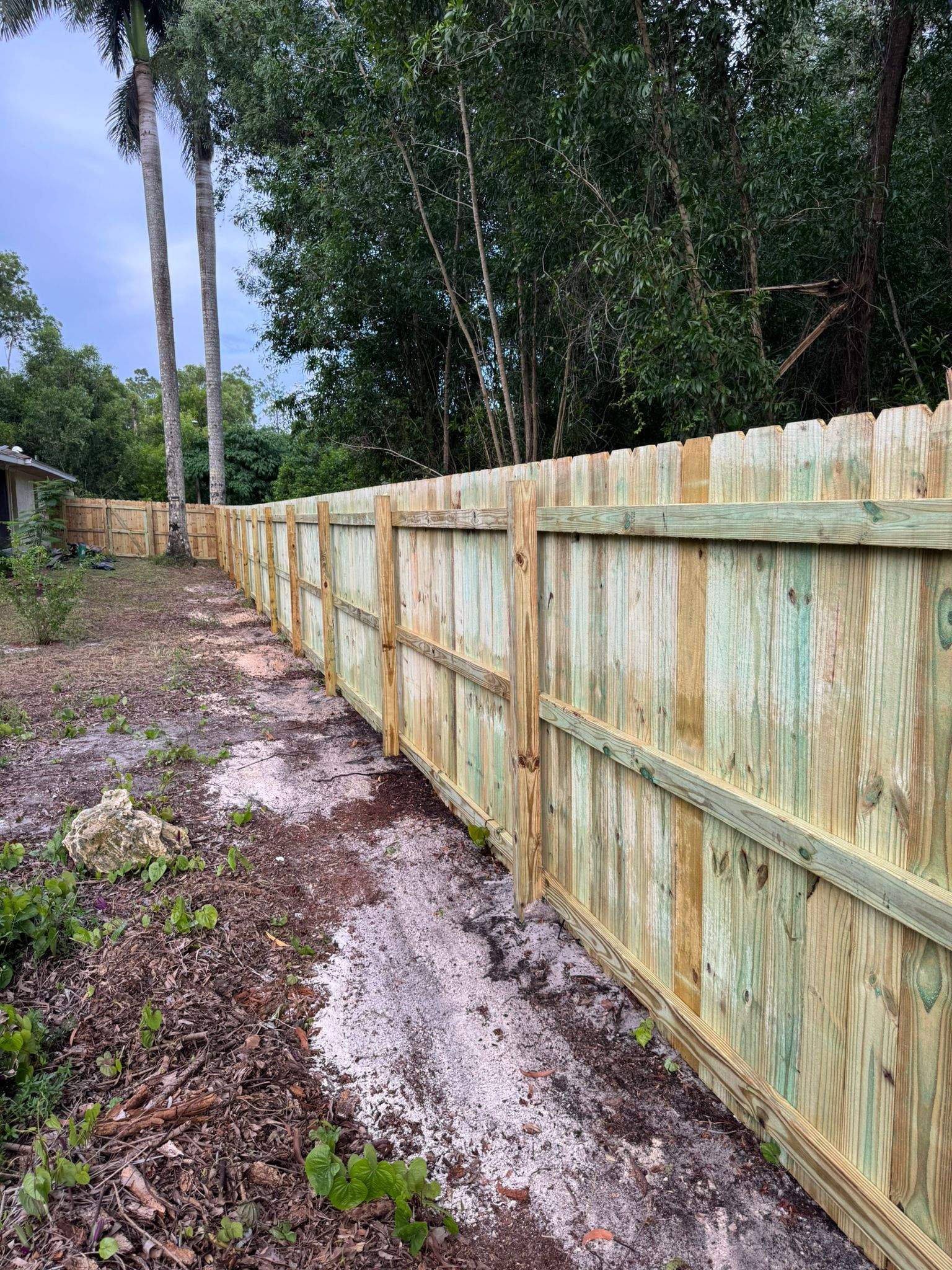 Pressure-Treated Wood Privacy Fence with Dog-Ear Pickets in Lehigh Acres by True Fence LLC
