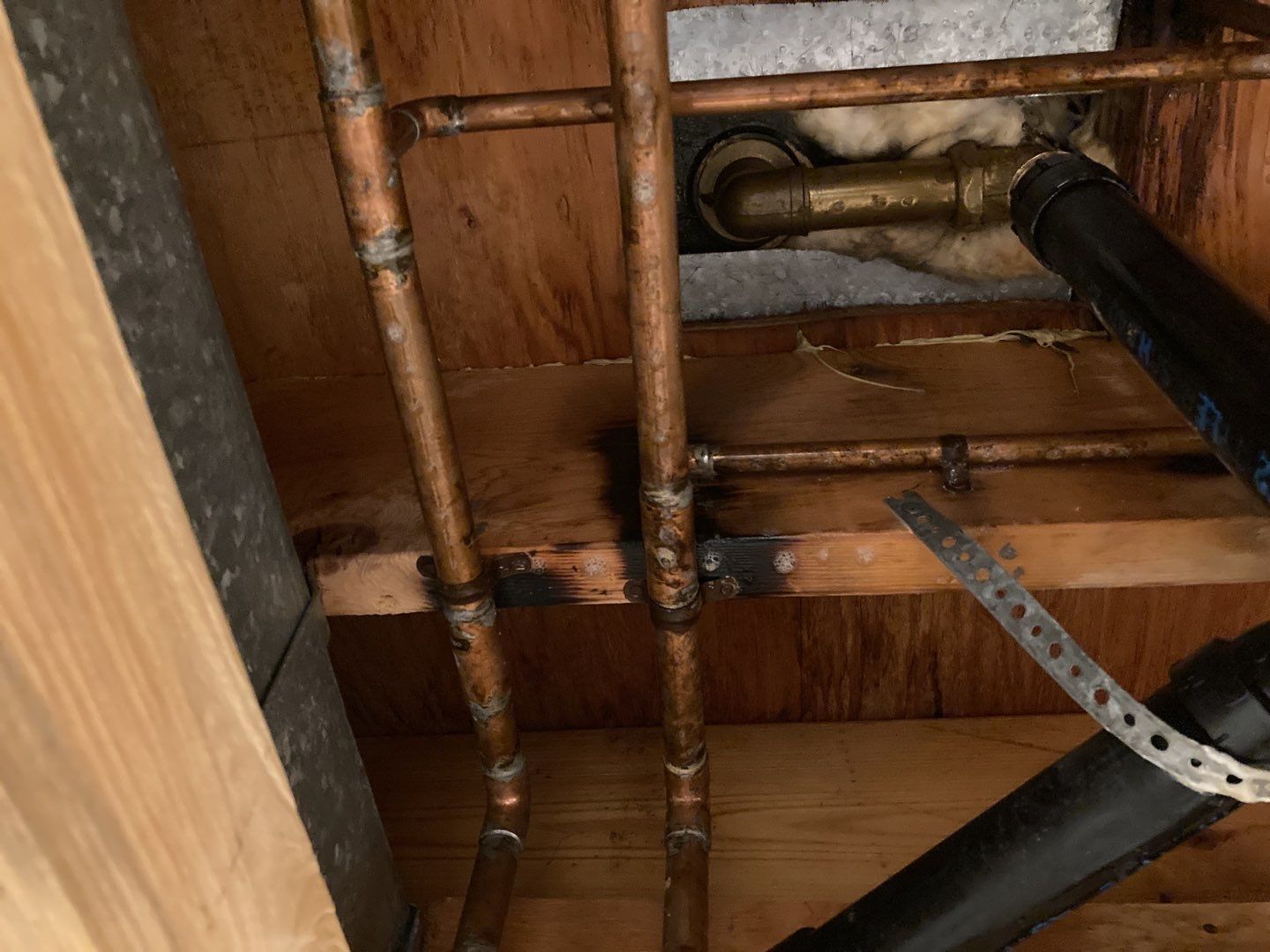 Mold Remediation using Containment by Accountable Home Services