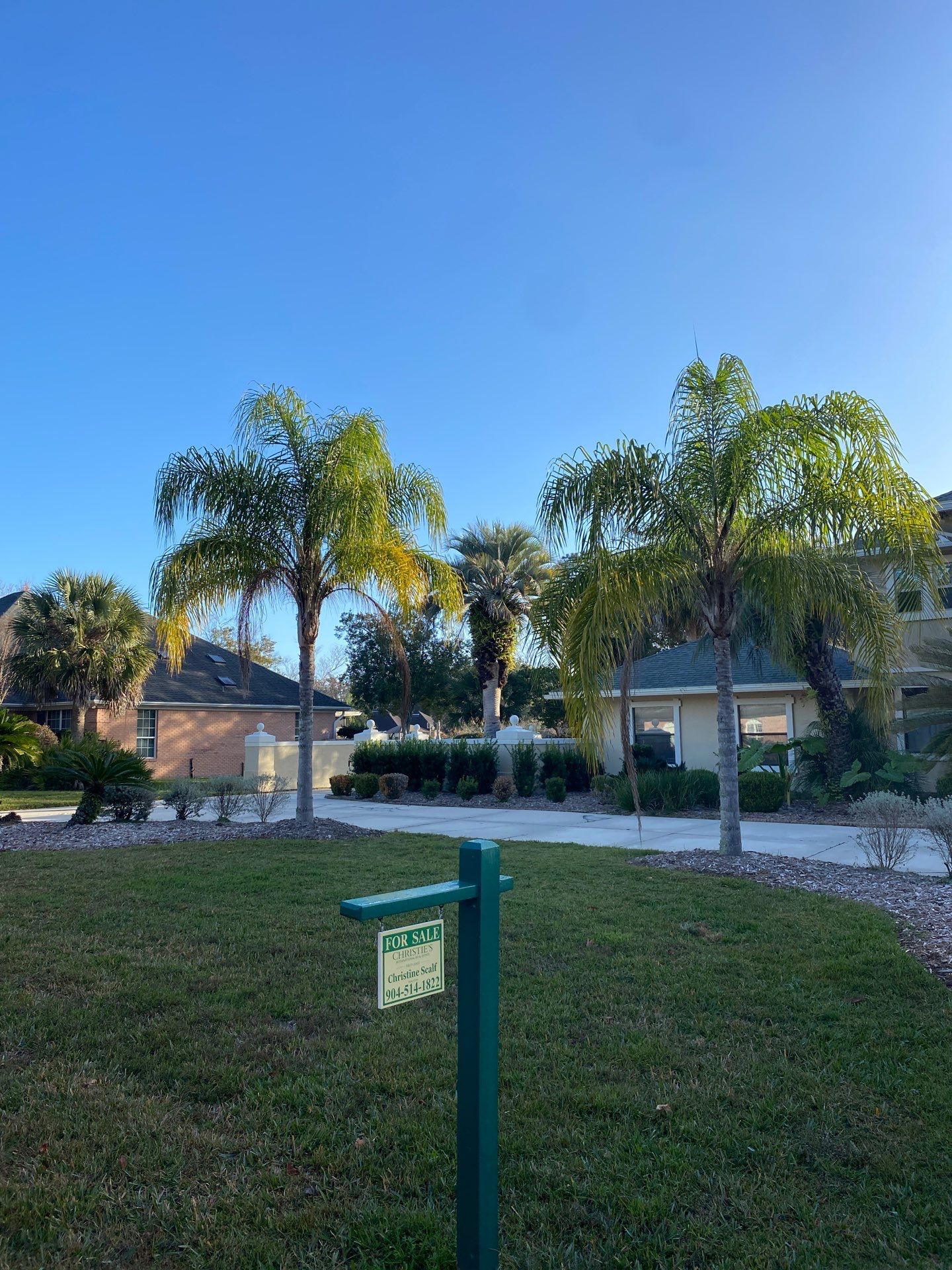 Deerwood Resident | Tree Removal & Palm Trimming by ProGreen Services