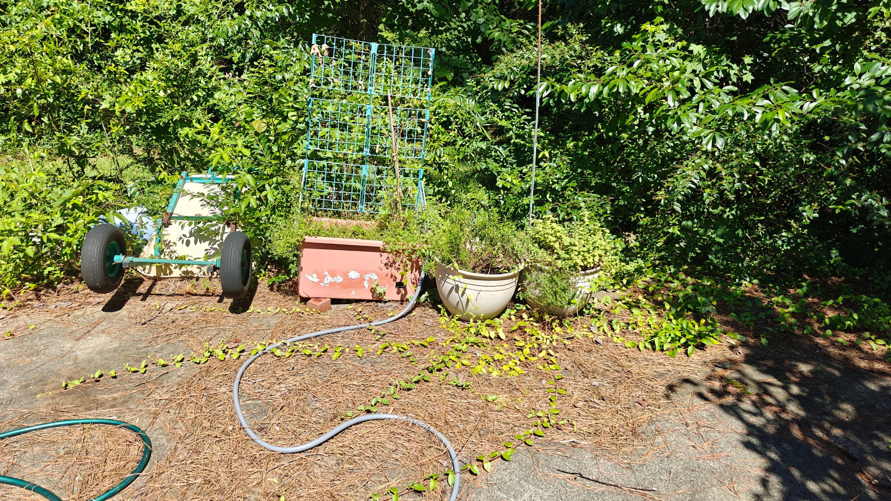 Bi Weekly Landscaping/ Weeding  by College Bros Outdoor services