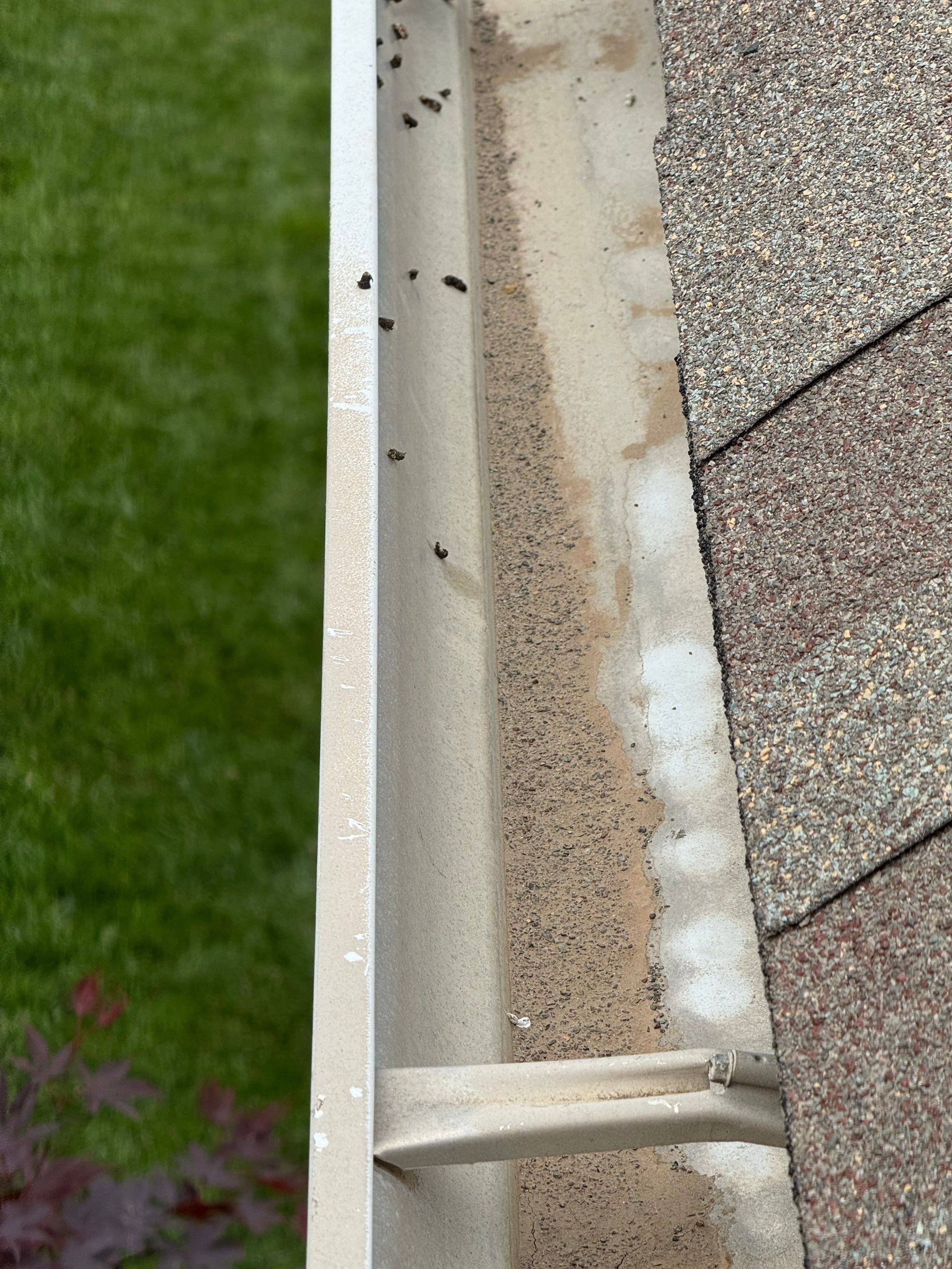 Storm Damage Restoration and Asphalt Shingle Inspection in Omaha by Crows Roofing LLC