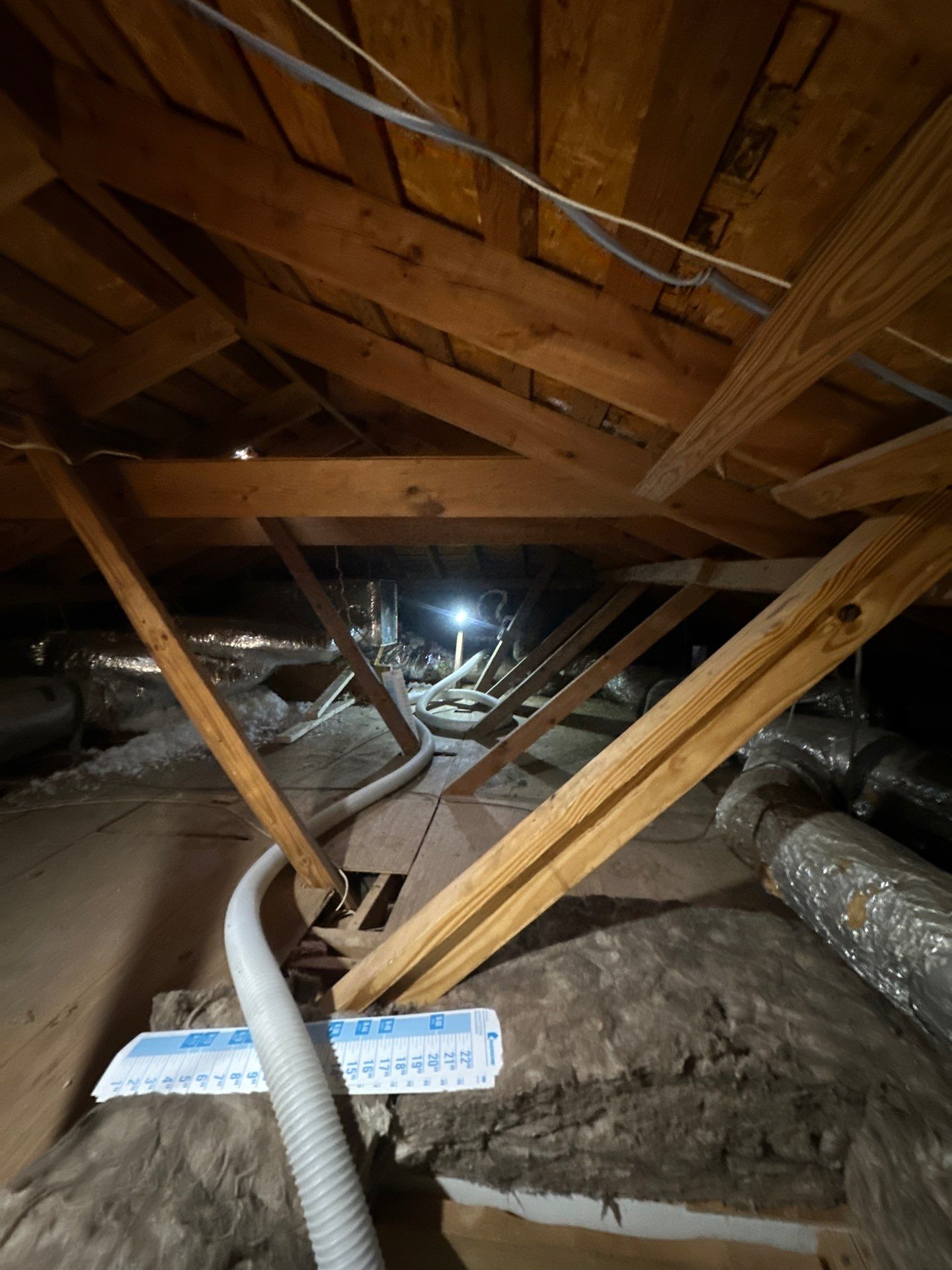 R49 Attic blow  by Apex Insulation Solutions