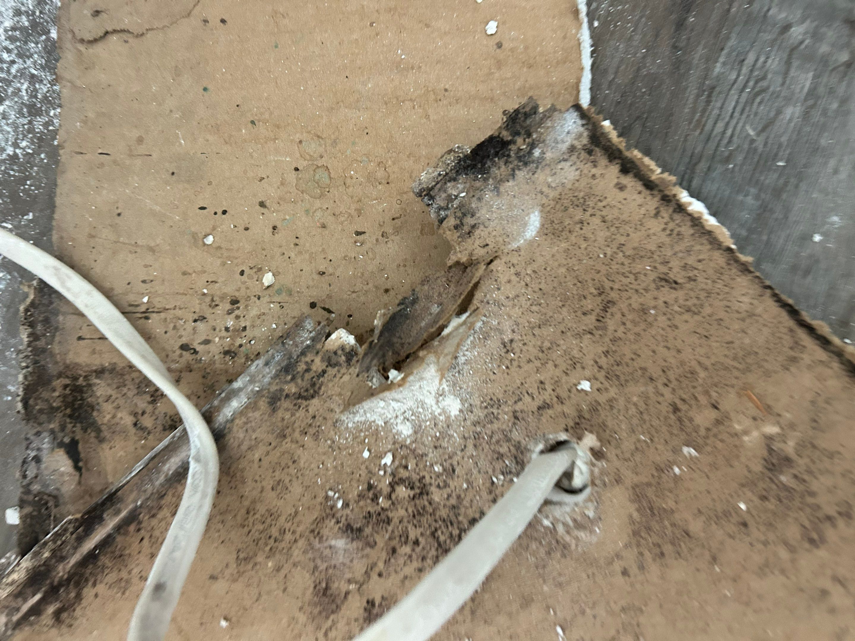 Project in Ocala by You Restorations LLC DBA YOU-Home