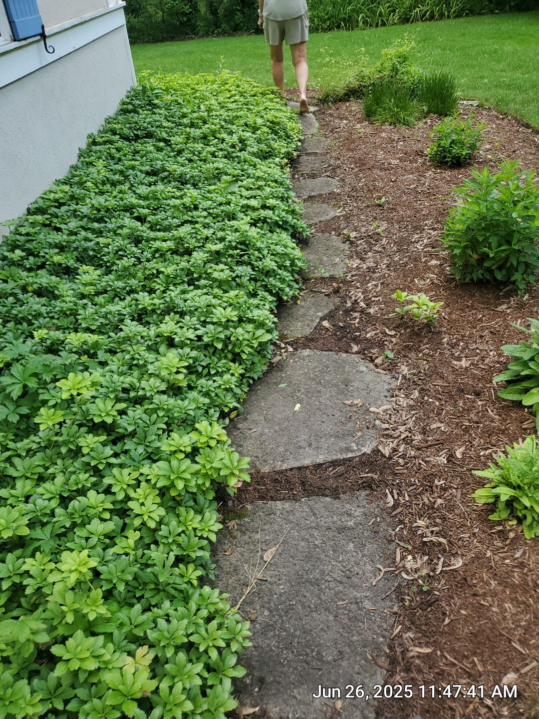 Glenview stone repair, and cleaning by Northern Power Washing LLC.