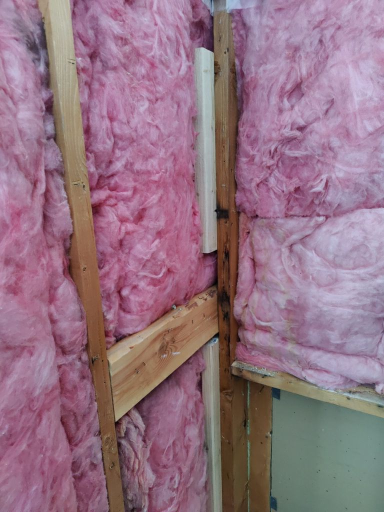 Mold Remediation  by Accountable Home Services