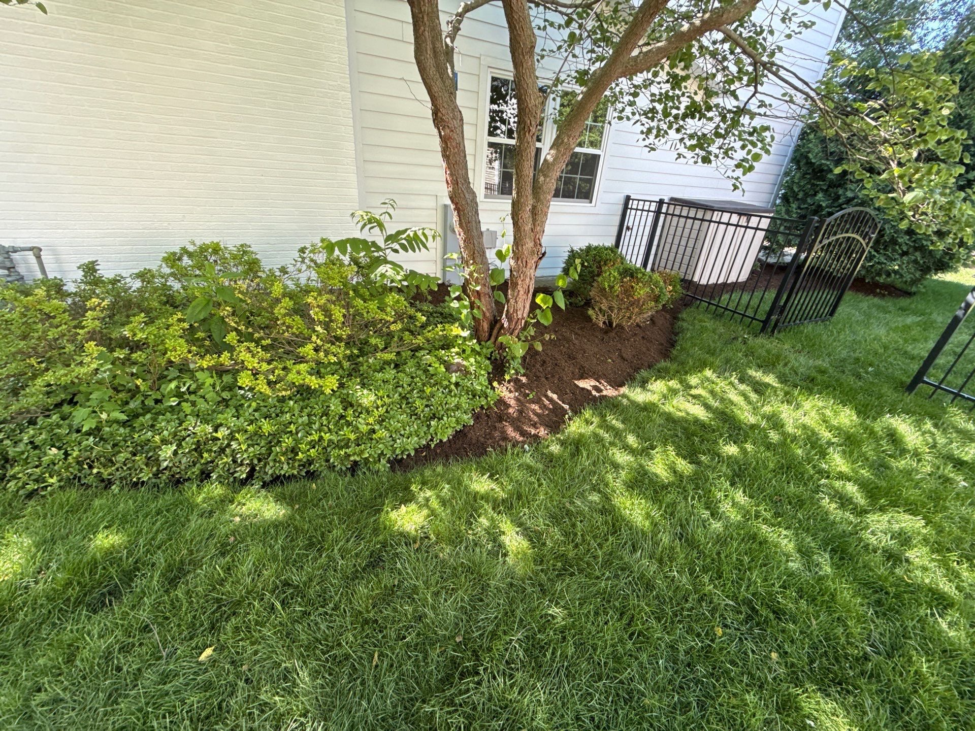 Lesley D. - Arlington Heights, IL by A&N 