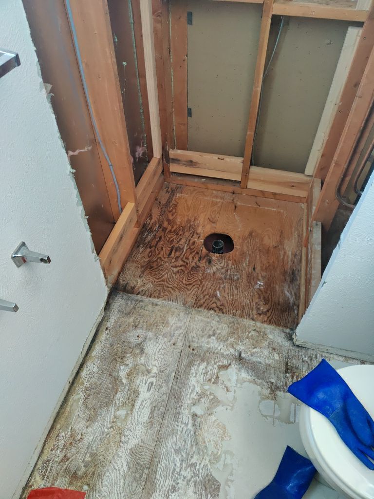 Mold Remediation  by Accountable Home Services