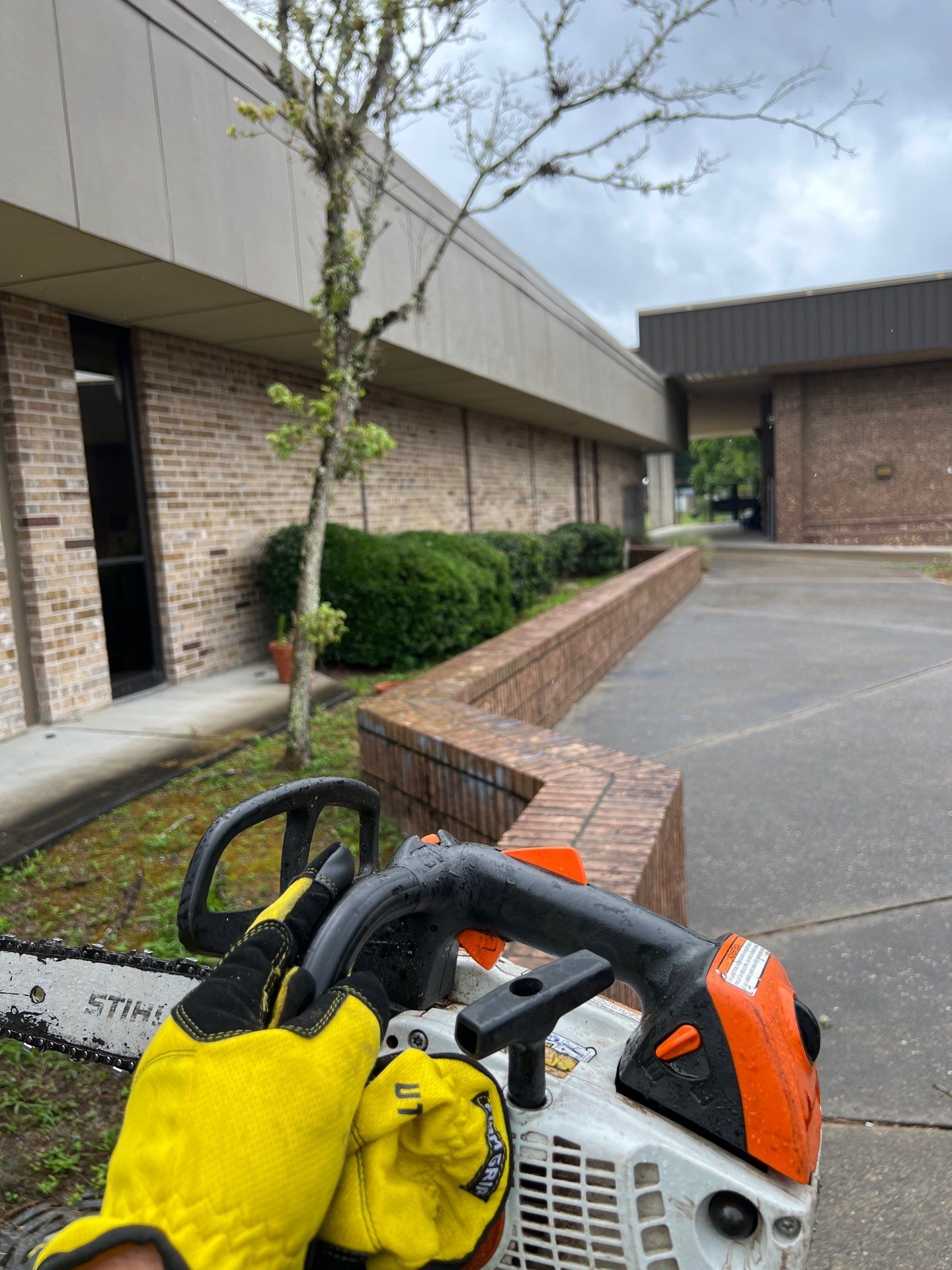 Landscape Install | Keystone Heights HS by ProGreen Services