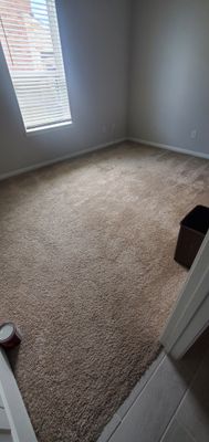 Project in Manvel