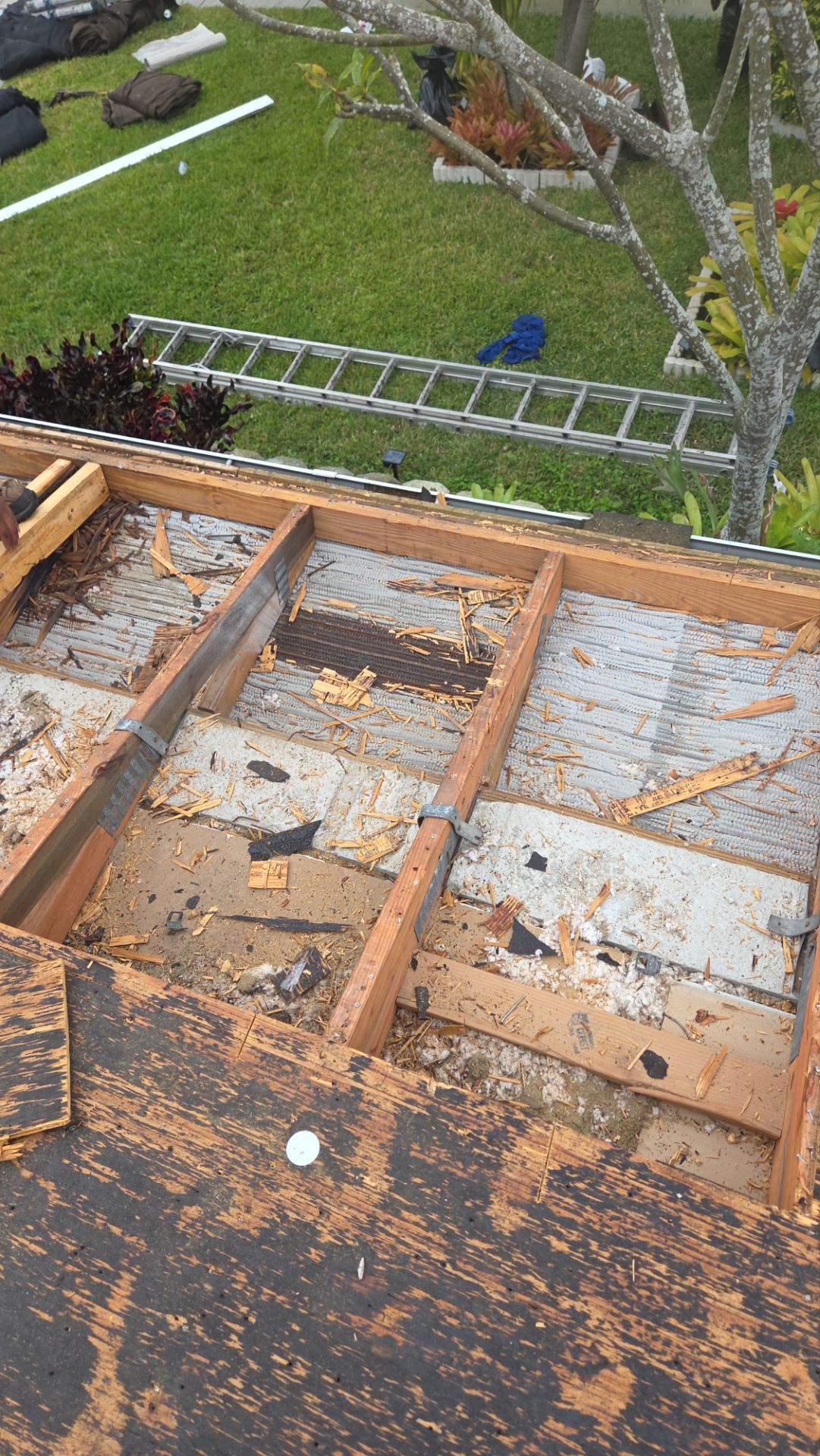 Shingle Roof Replacement and Exterior Fascia Repair in Boca Raton by Aastro Roofing