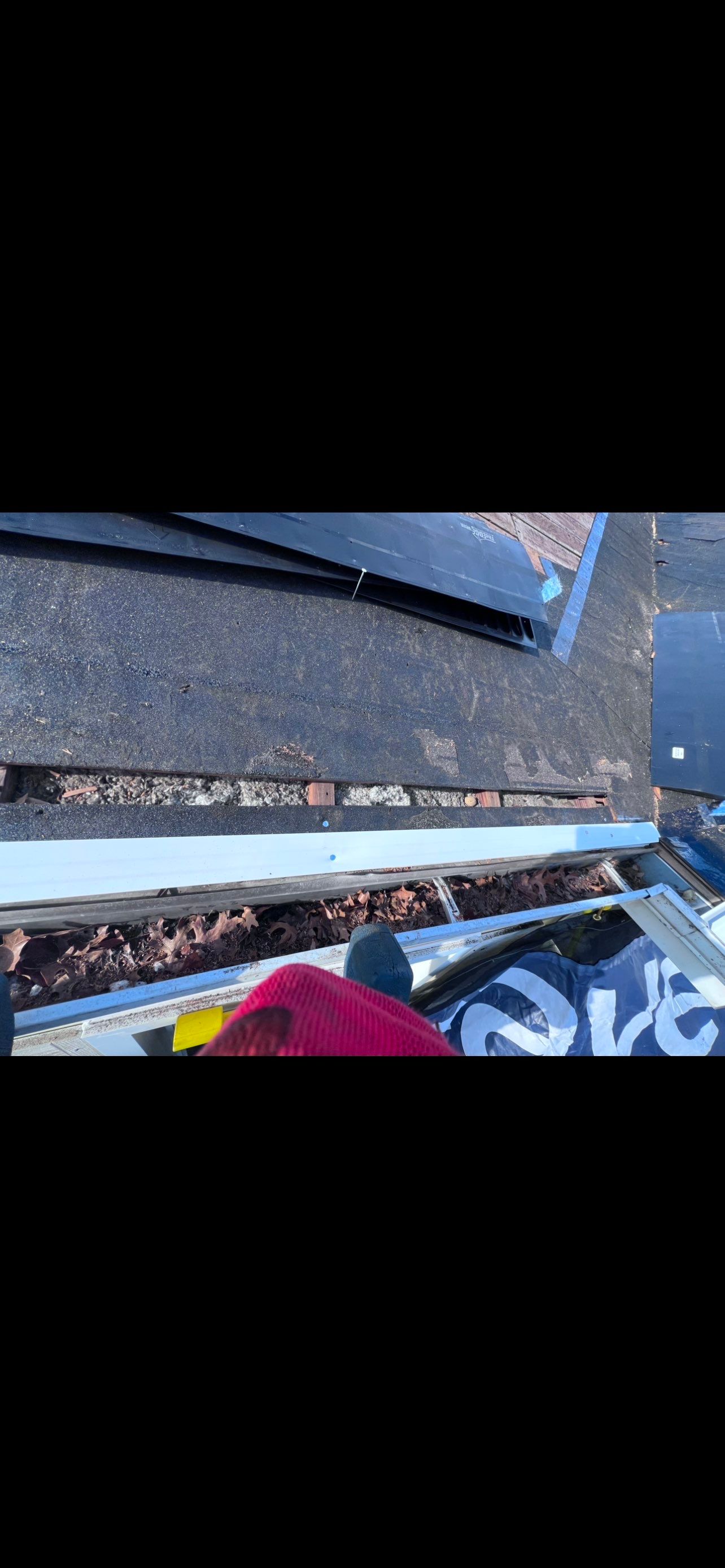 Project in Royal Oak by Eave Roofing