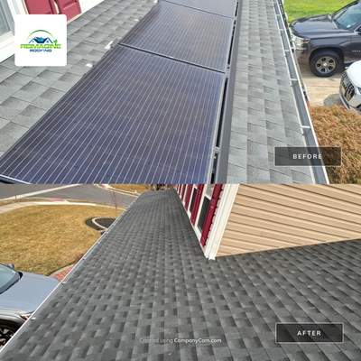 Estate Gray Shingles