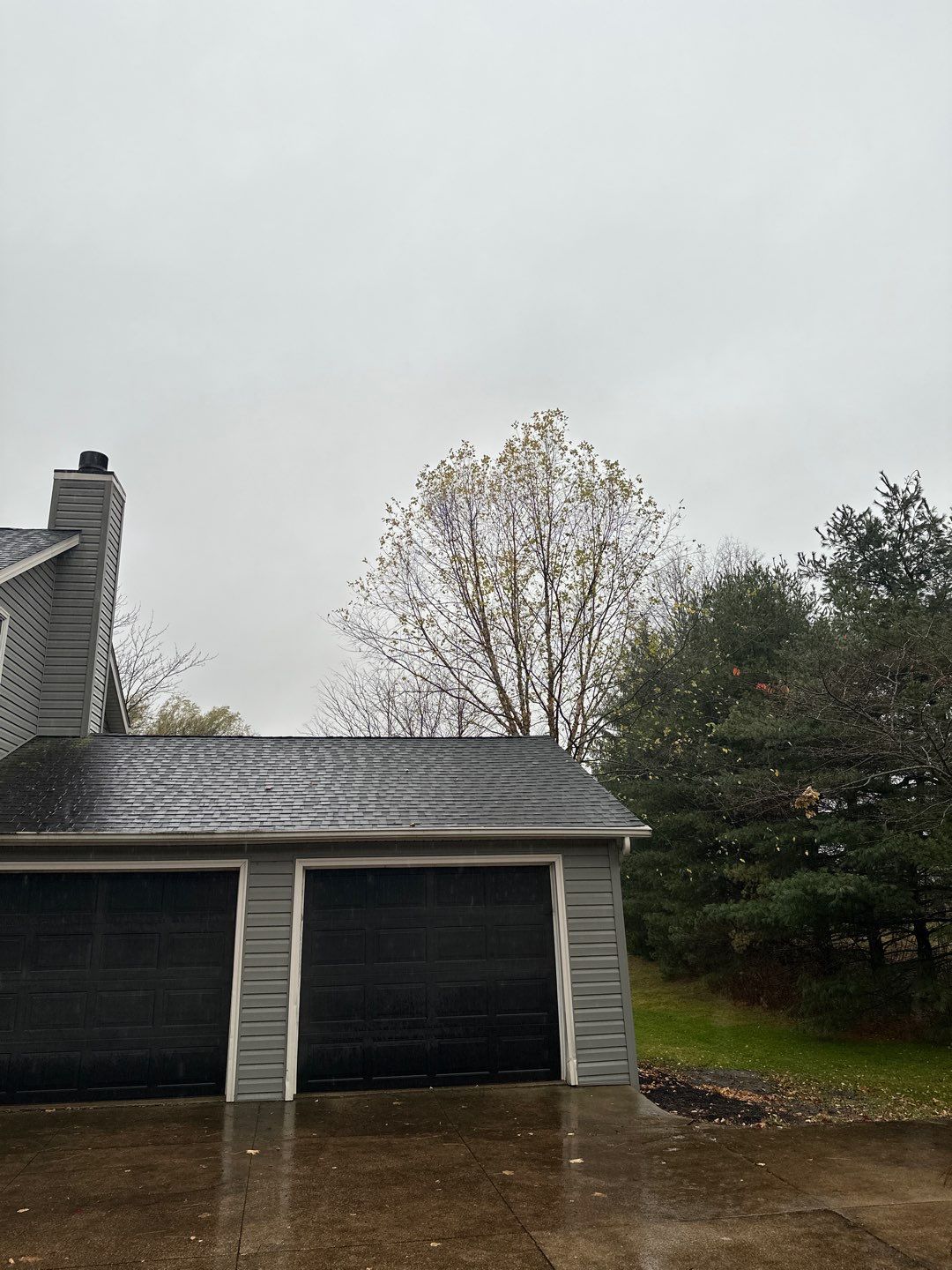 Tree Trimming using Tree Pruing by Mike Jones & Sons Tree Service LLC 
