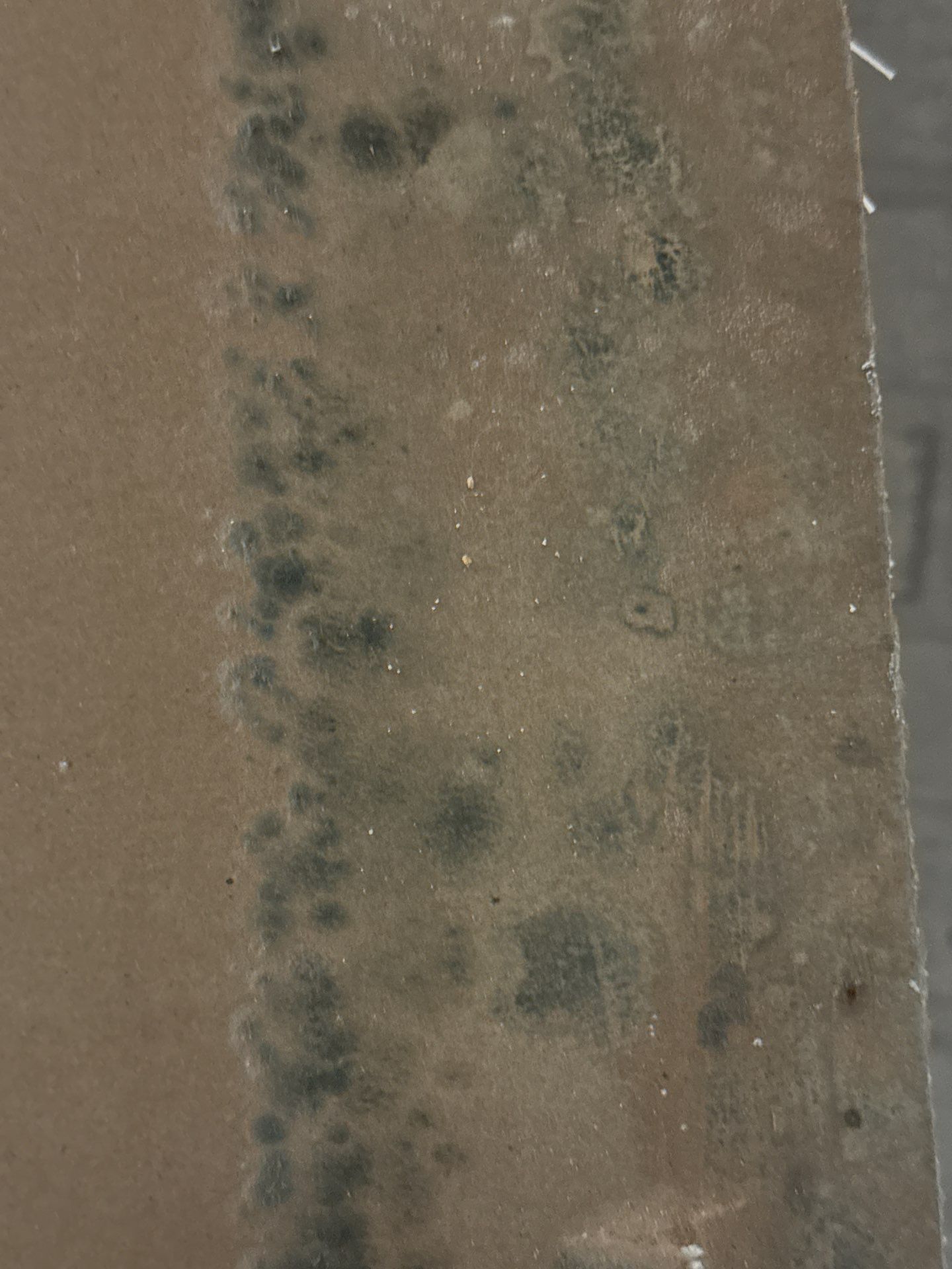 Mold Remediation in Lake Mills by Dry Source Property Restoration 