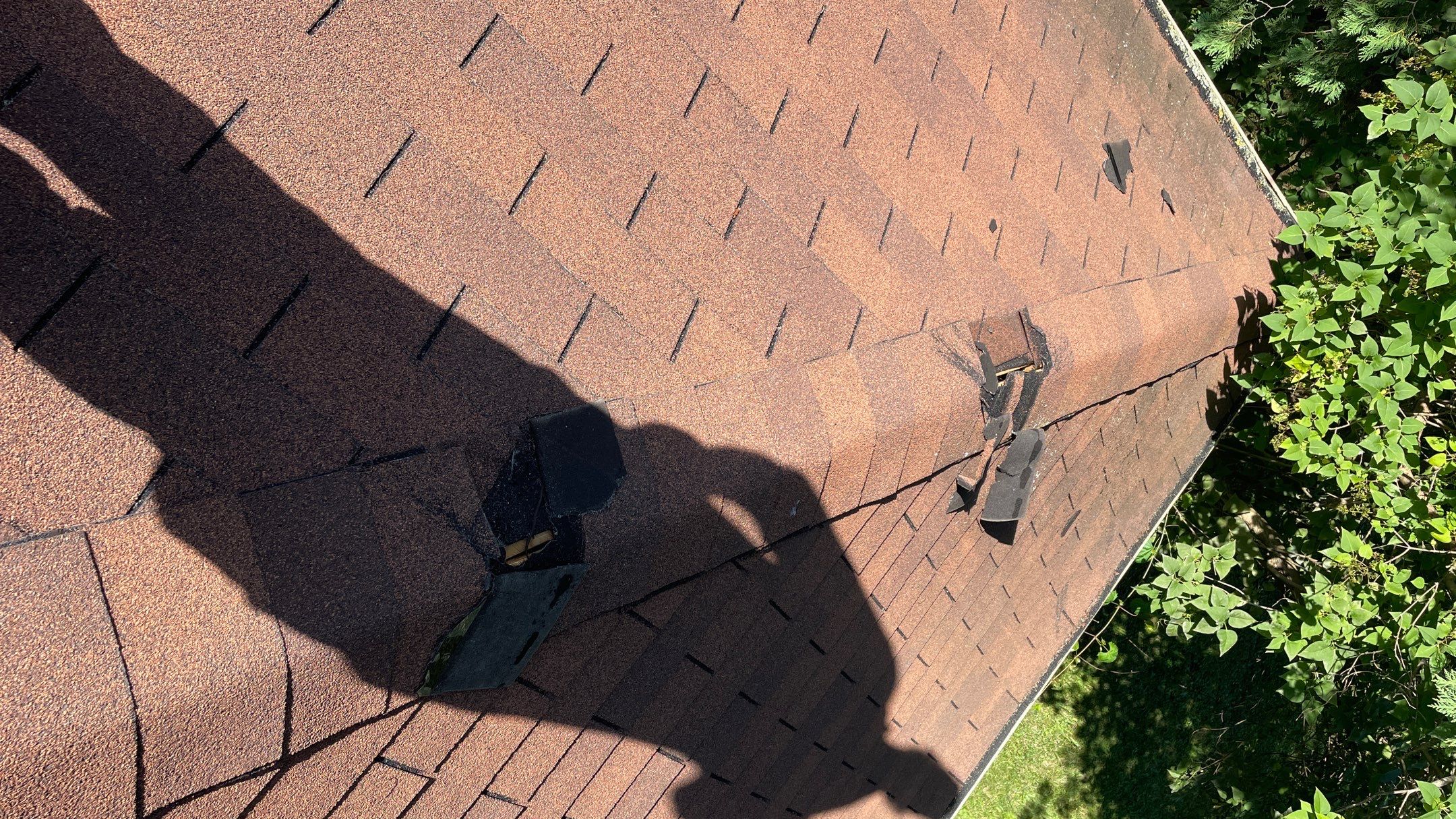 Roof Replacement using Owens Corning Summer Harvest by 180 Contractors