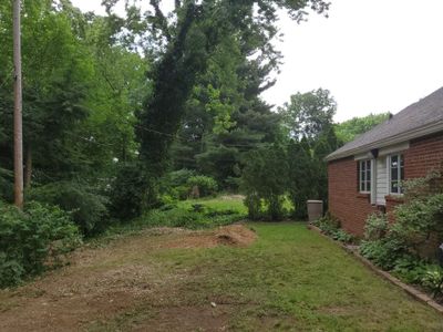 Tree Removal using Tree Removal