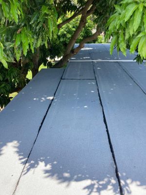Project in Largo 33774
