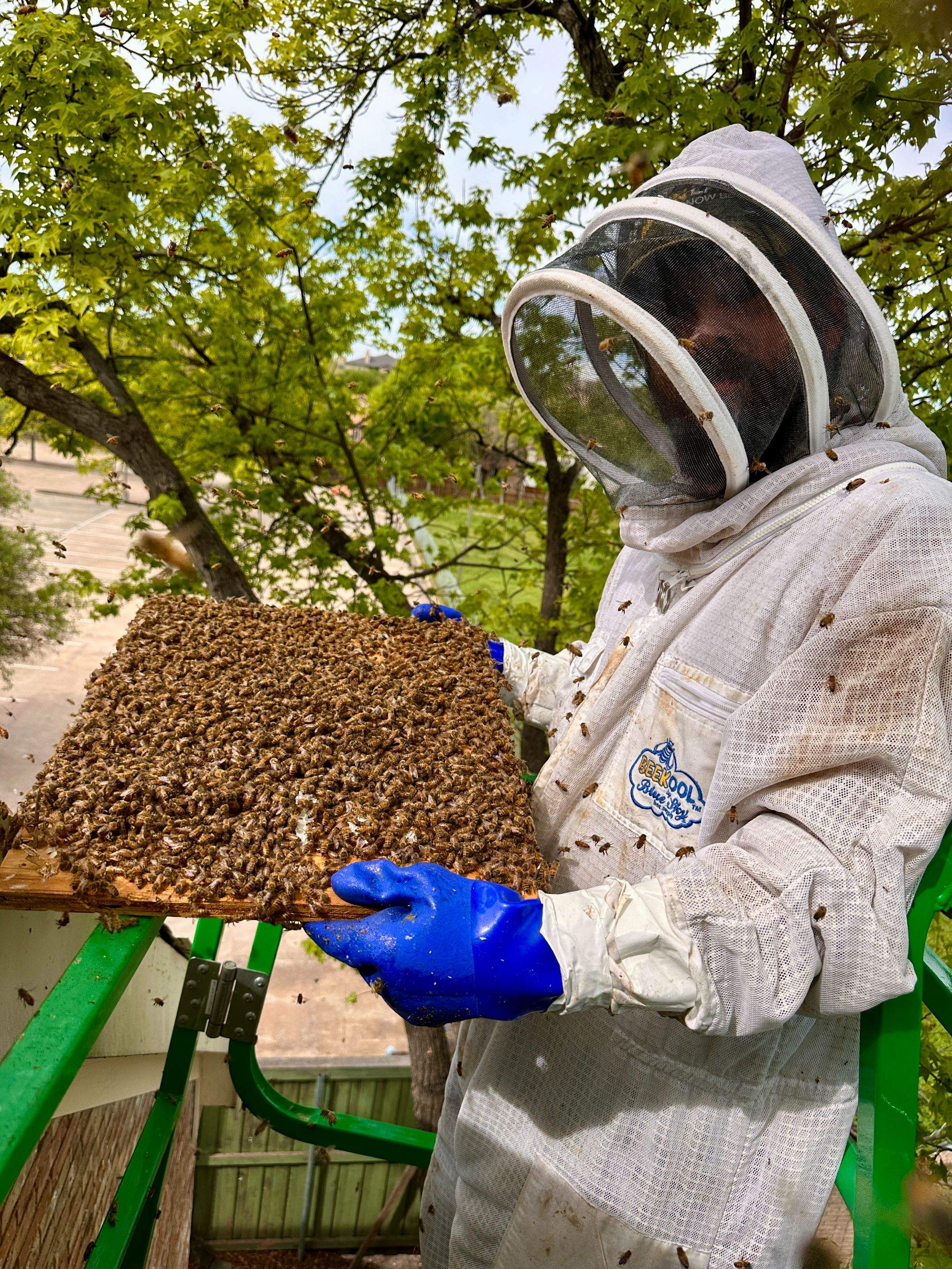 Commercial Roof by Rockwall Honey Bee Company