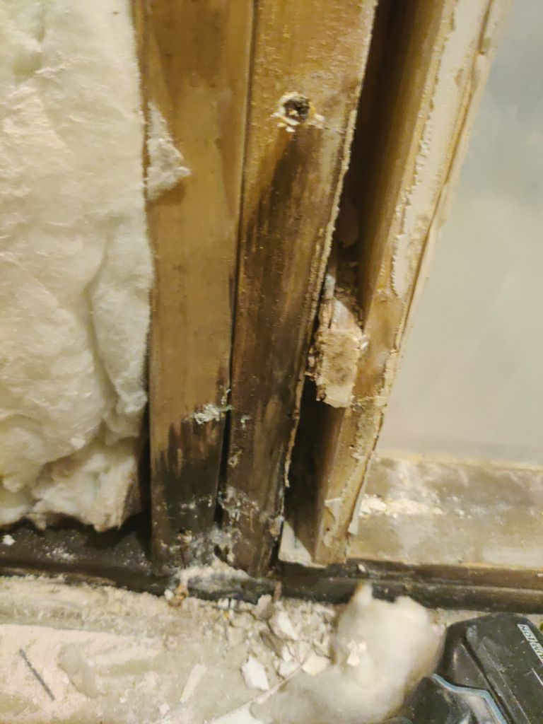 Water Damage Repair by Accountable Home Services