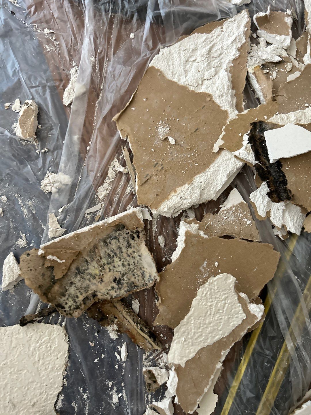 Mold Remediation by Accountable Home Services