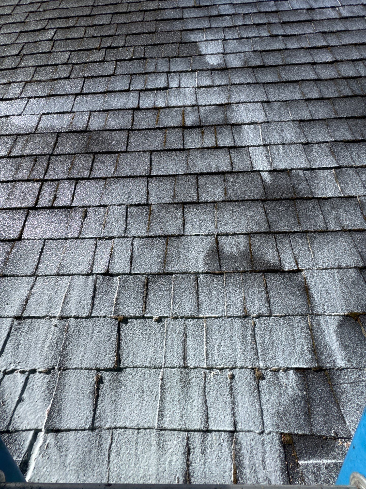 Project in Sutherlin by Roof Maxx of Grants Pass