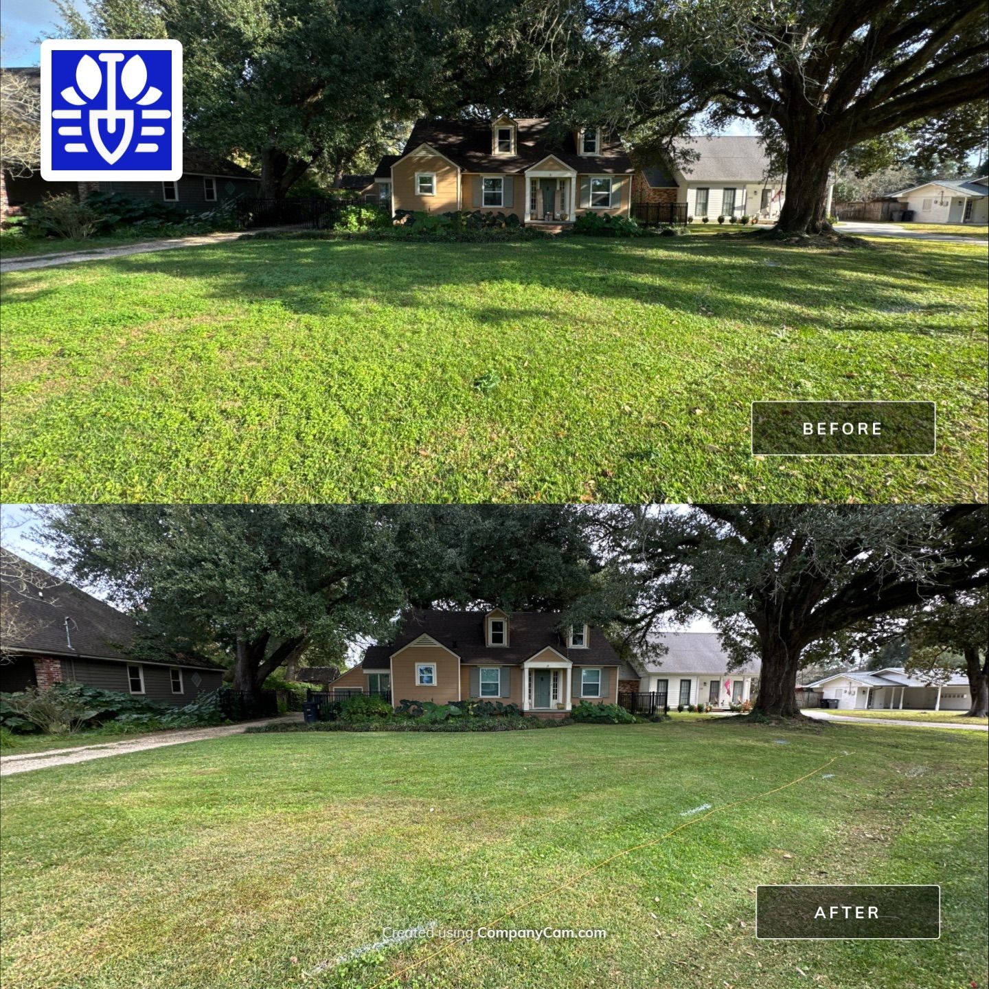 RESIDENTIAL LAWN MAINTENANCE by CutScape, LLC.