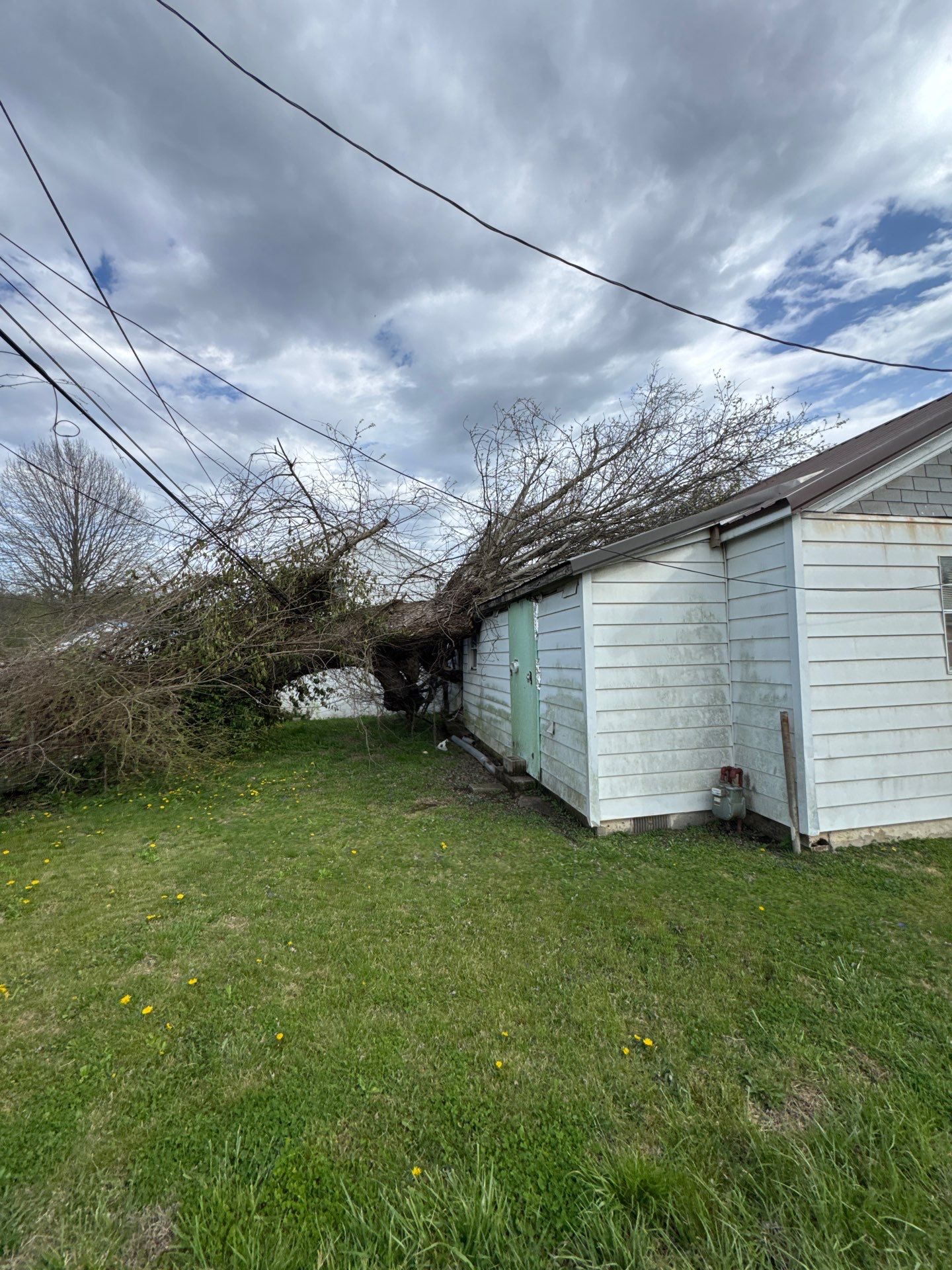 Project in Nitro, WV Rotator Crane Lifts Tree Off House | Nitro WV • One Wrong Move Job | Rotator Crane Tree Removal • Heavy Rescue Tree Job | Nitro WV • Extreme Tree Removal Over Home | Nitro WV by Jones Empire LLC