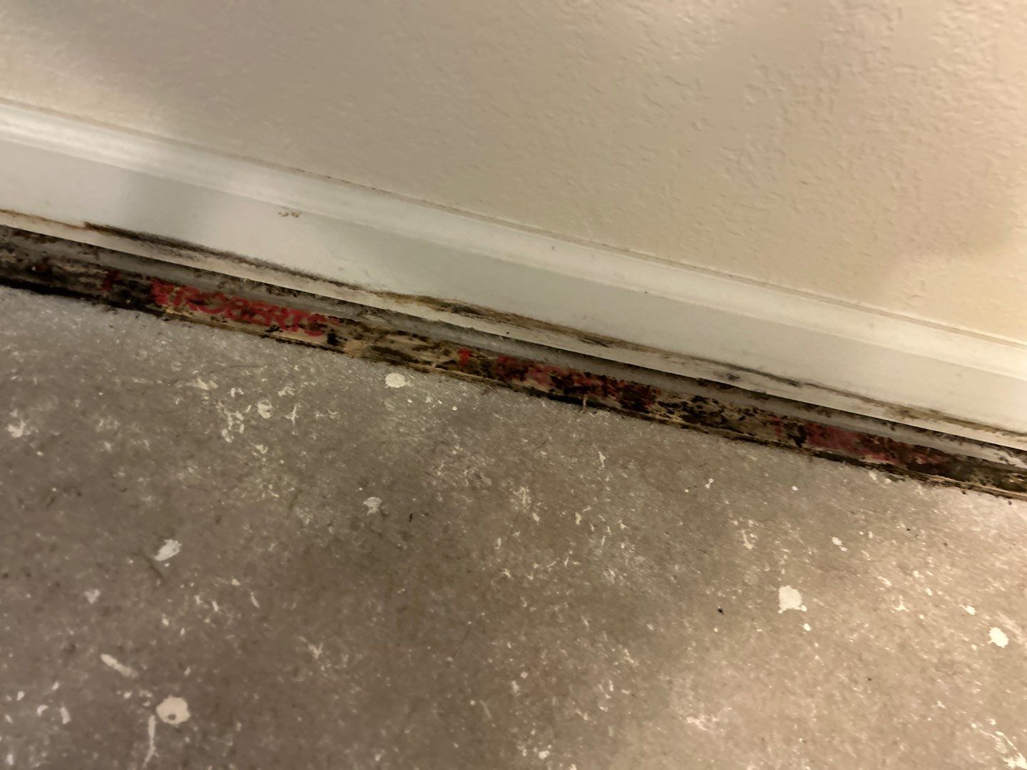 Mold Damage Project in Thornton by Accountable Home Services