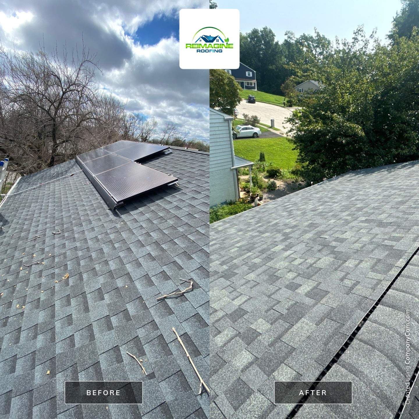 Silver Birch Shingles by Reimagine Roofing