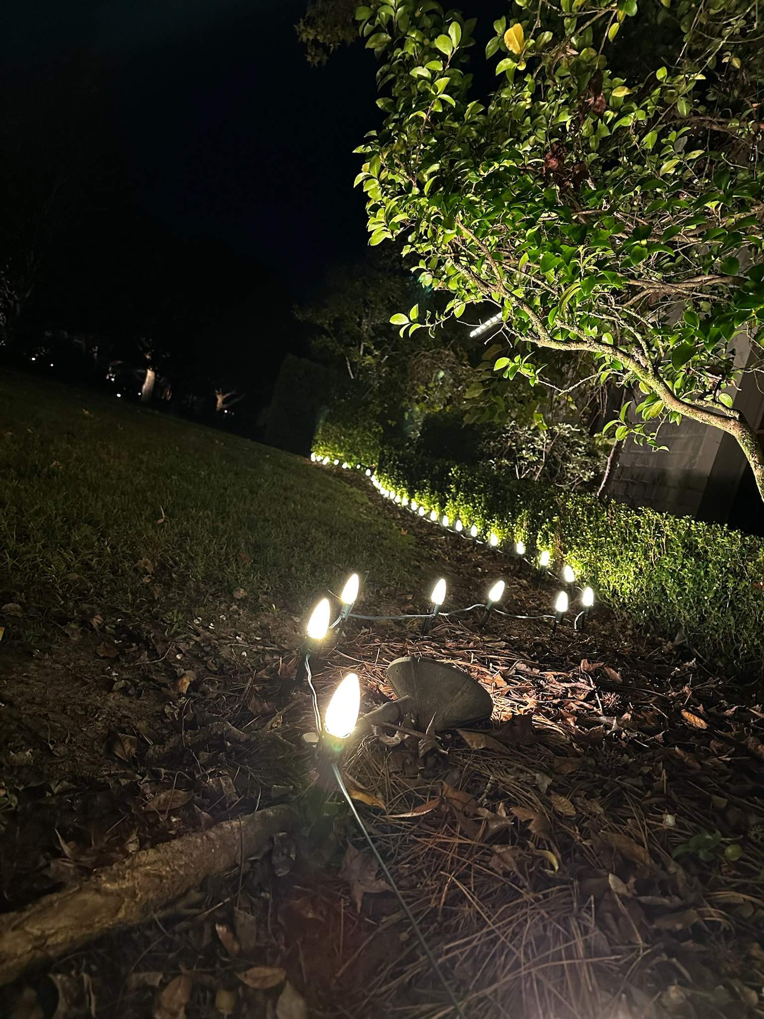 WINTER SERVICES: HOLIDAY LIGHTING C9 LED LIGHTING: ROOFLINE & LANDSCAPE by CutScape, LLC.