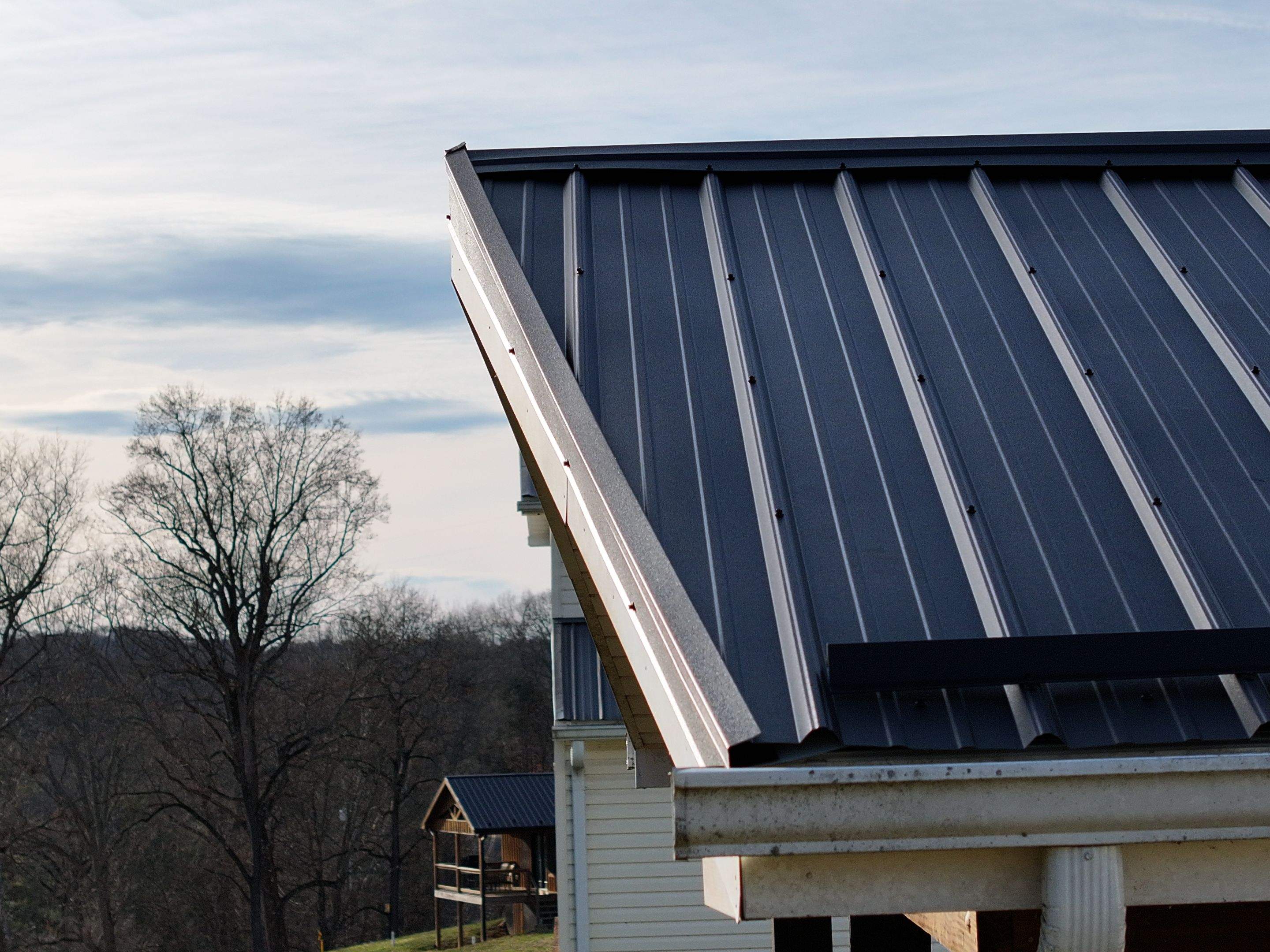 Cogan Residence by Omnia Roofing