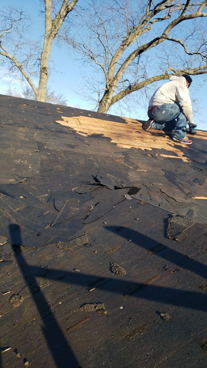 Annandale: CertainTeed Landmark Pro Designer Shingles in Max Def Charcoal Black by RM Banning, Inc.