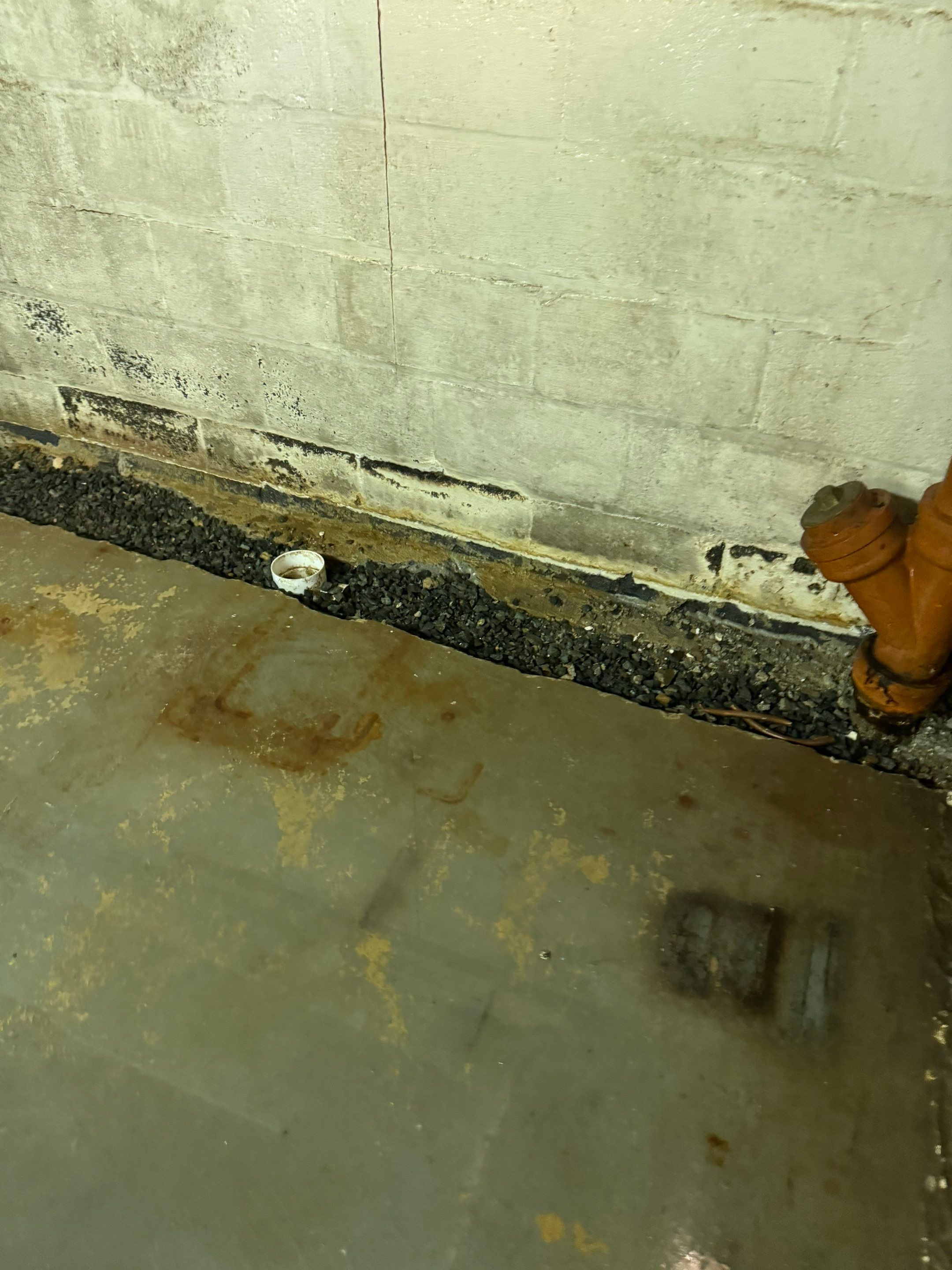 Interior French Drain Washington Township, NJ by Pure Service Pro, LLC 