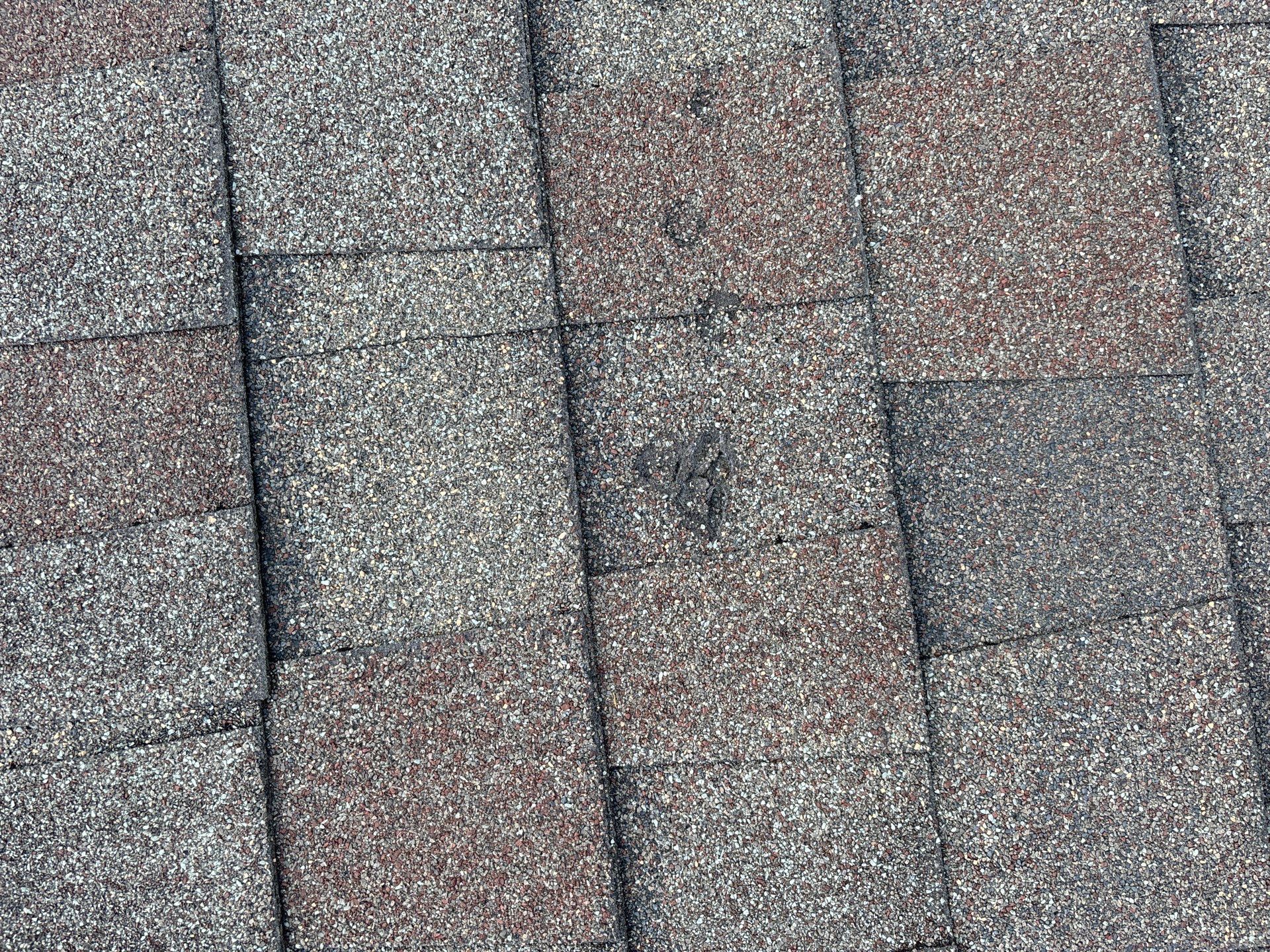 Hail Damage using Owen's Corning Duration (Lifetime) Shingles by Roof Repair Company