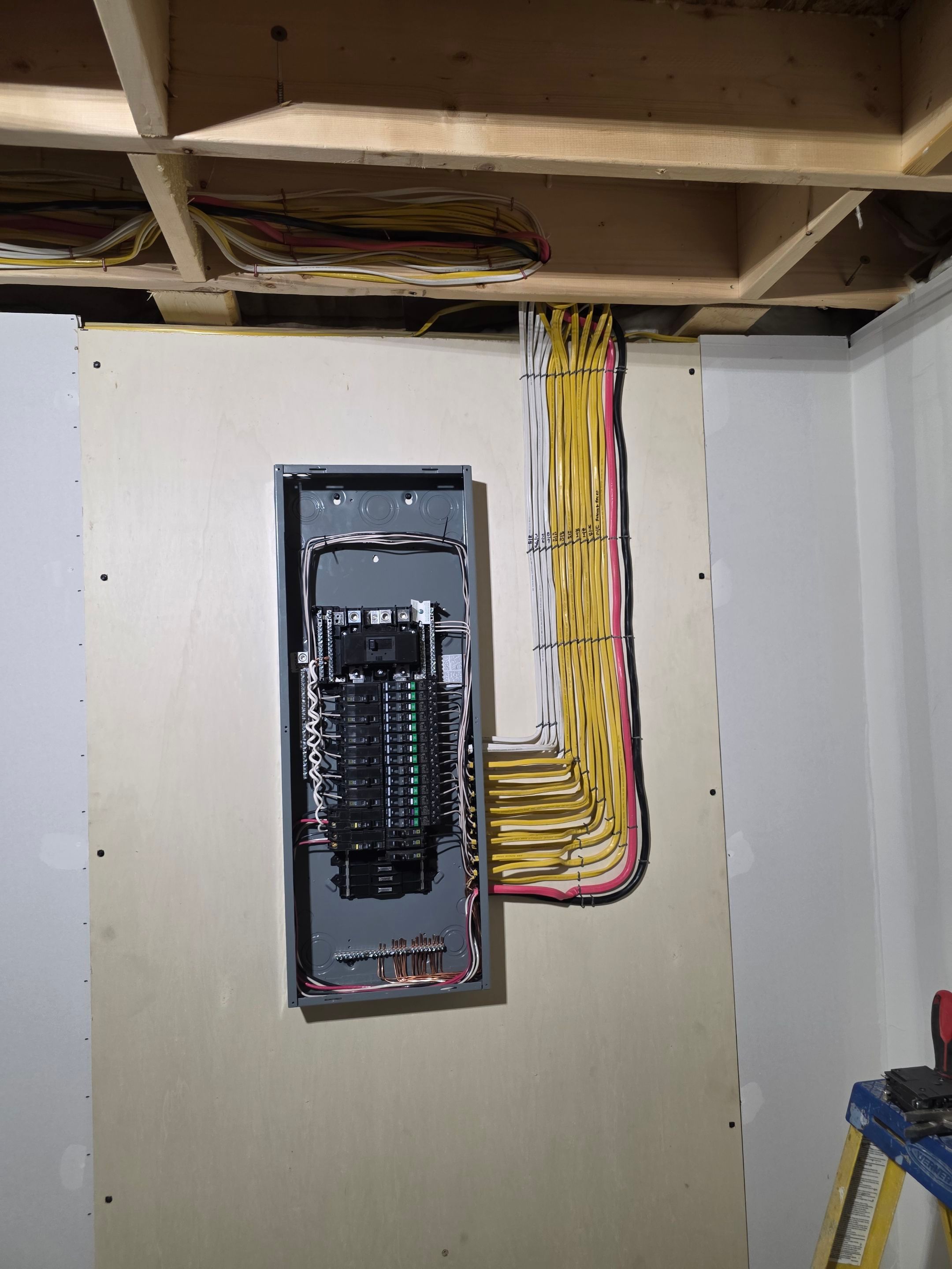 Project in Geneva by Horst Custom Homes 