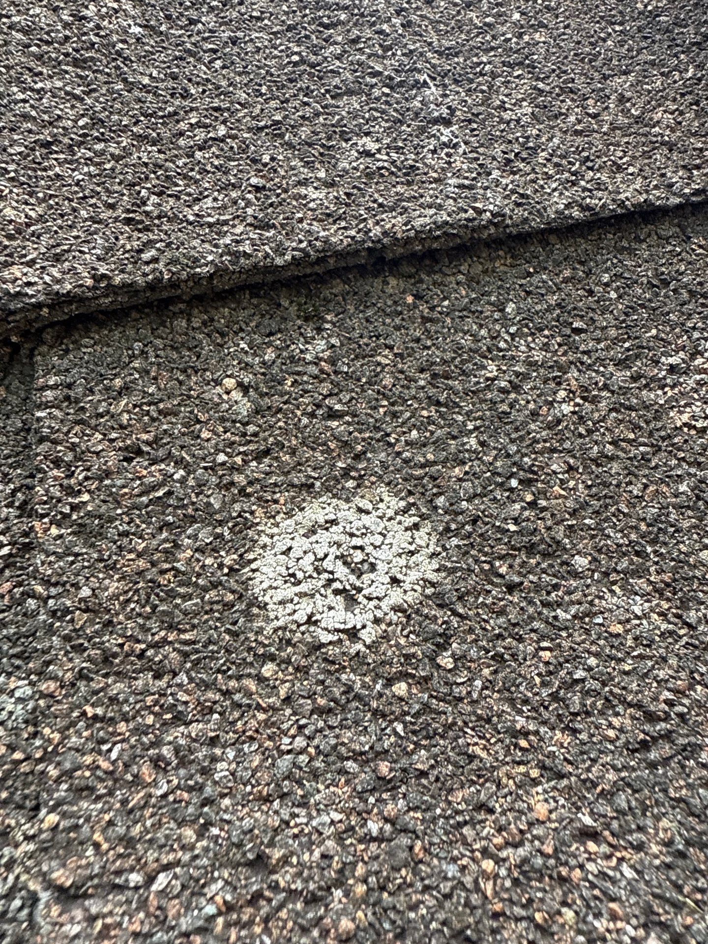 Project in Richmond by Roof Maxx of Midlothian