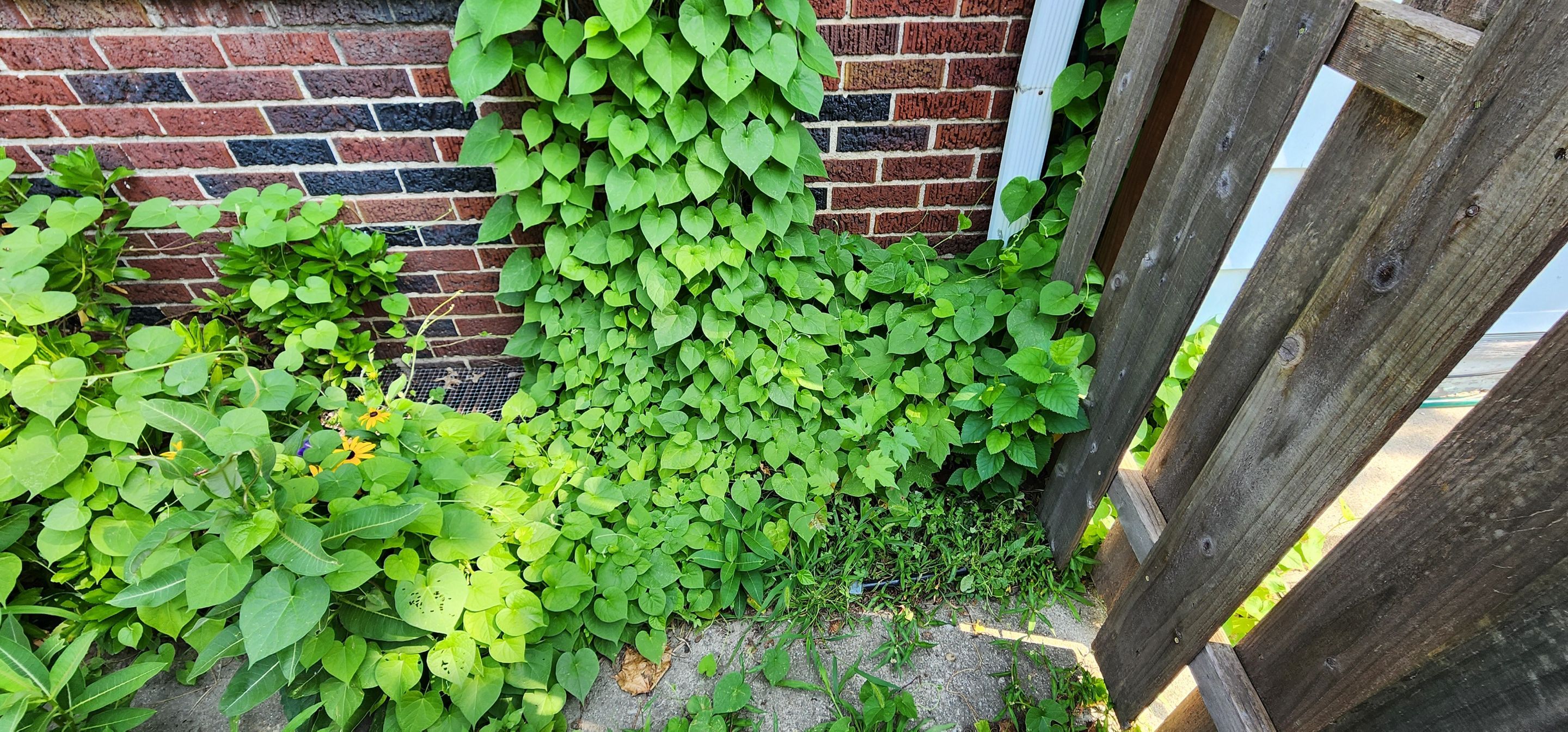Interior Waterproofing by Toledo Basement Repair 